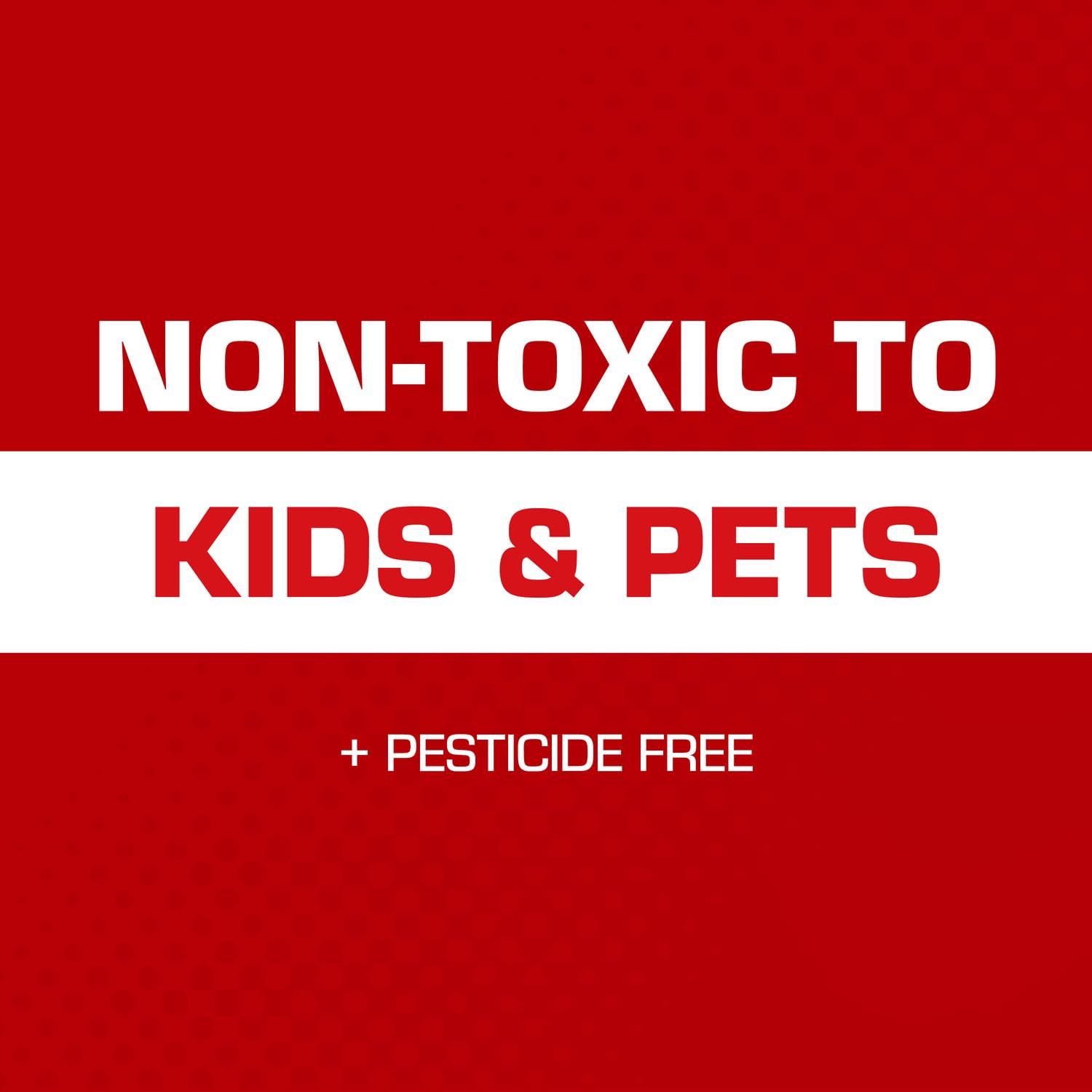 Tomcat Glue Traps Mouse Size with Eugenol for Enhanced Stickiness for Mice, Cockroaches, and Spiders, 6 Traps