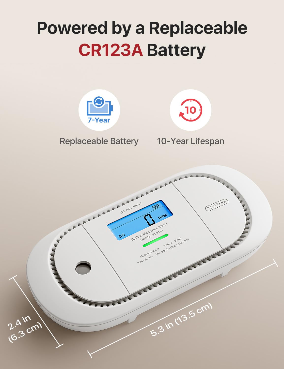 X-Sense Carbon Monoxide Detector Alarm with Digital LCD Display, Replaceable Battery CO Alarm Detector with Peak Value Memory, XC01-R
