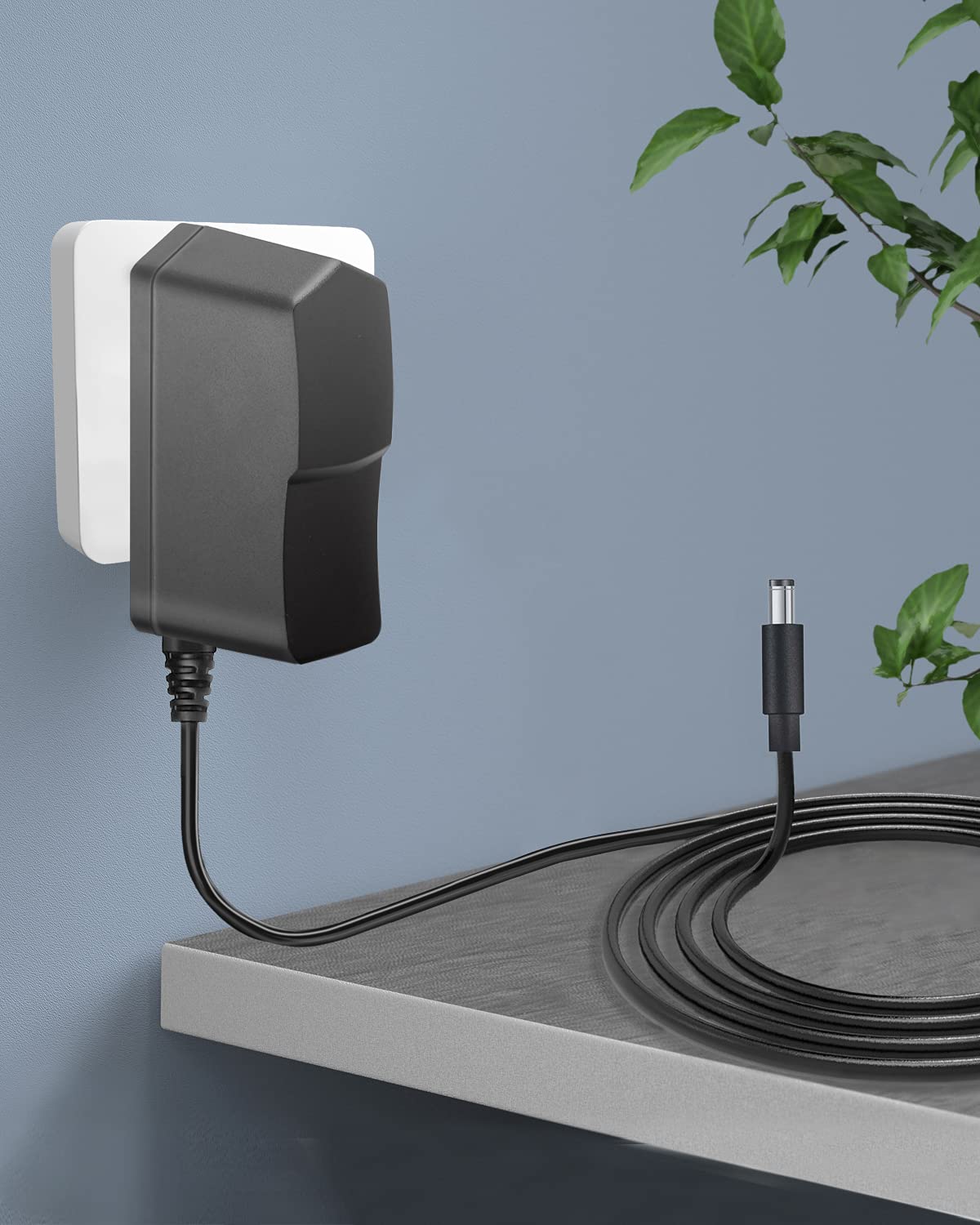 12V 2A Power Supply AC Adapter Replacement with 8 Tips, Regulated 12 Volts 2000mA Cord Charger for LED Strip Light, CCTV Camera, GPS, Webcam, Router, BT Speaker DC12V Transformer (6ft)