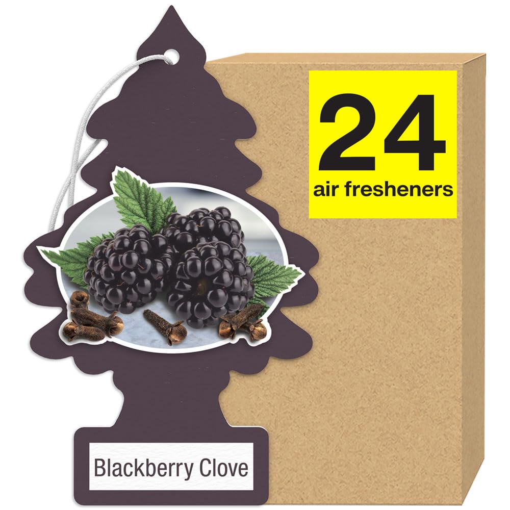 LITTLE TREES Air Fresheners Car Air Freshener. Hanging Tree Provides Long Lasting Scent for Auto or Home. Bayside Breeze, 24 Air Fresheners