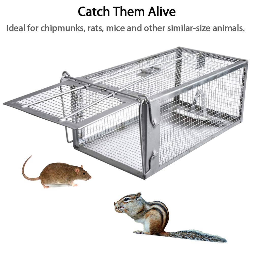 Gingbau Live Chipmunk Trap Humane Mouse Rat Cage Trap for Indoors and Outdoors