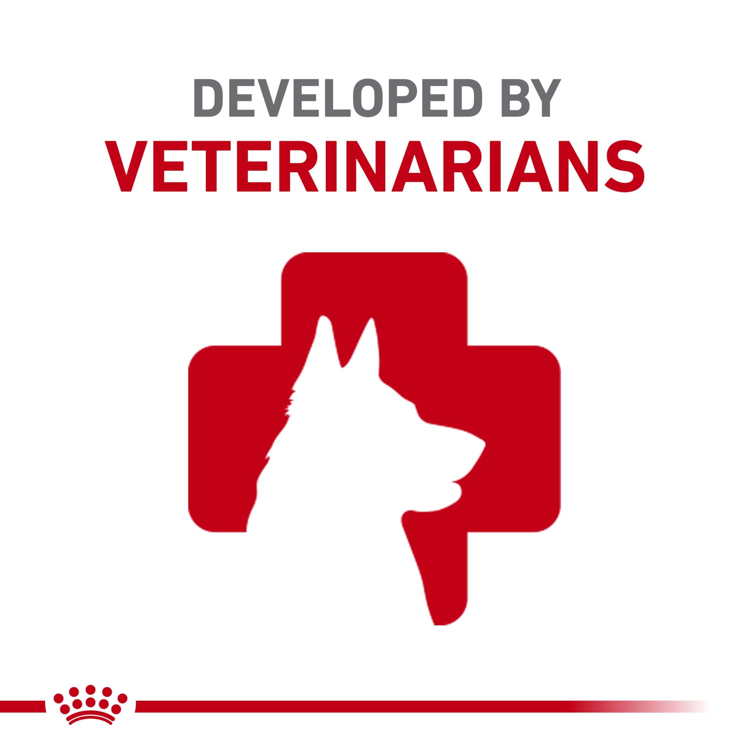 Royal Canin Size Health Nutrition Small Adult Dry Dog Food, 14 lb Bag