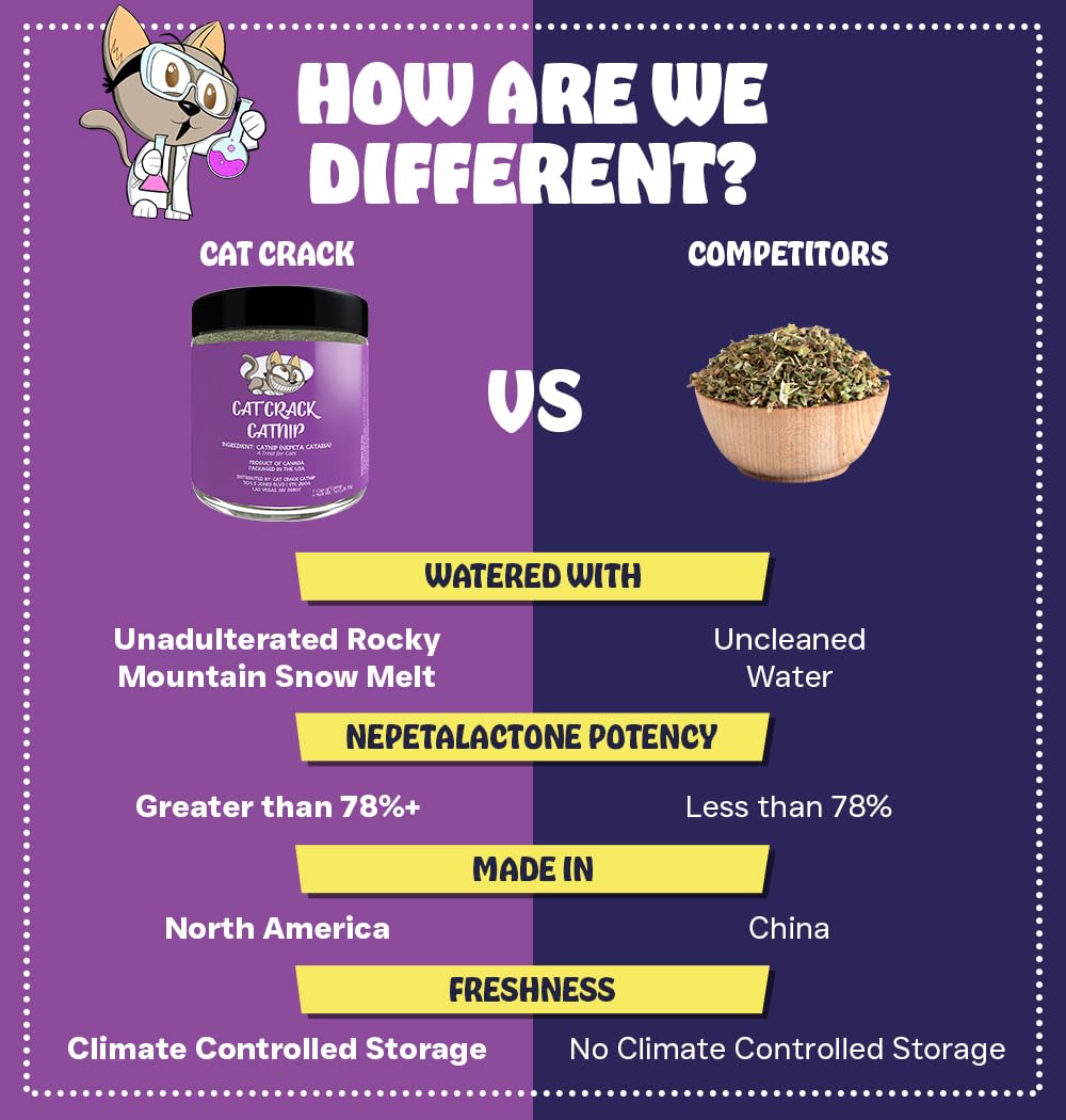 Cat Crack Catnip, Zoomie-Inducing Cat Nip Blend, North American Made & 100% Natural, Safe & Non-Addictive Catnip Treats Used to Supplement Cat Nip Toys, Spray, & Accessories (1 Cup)