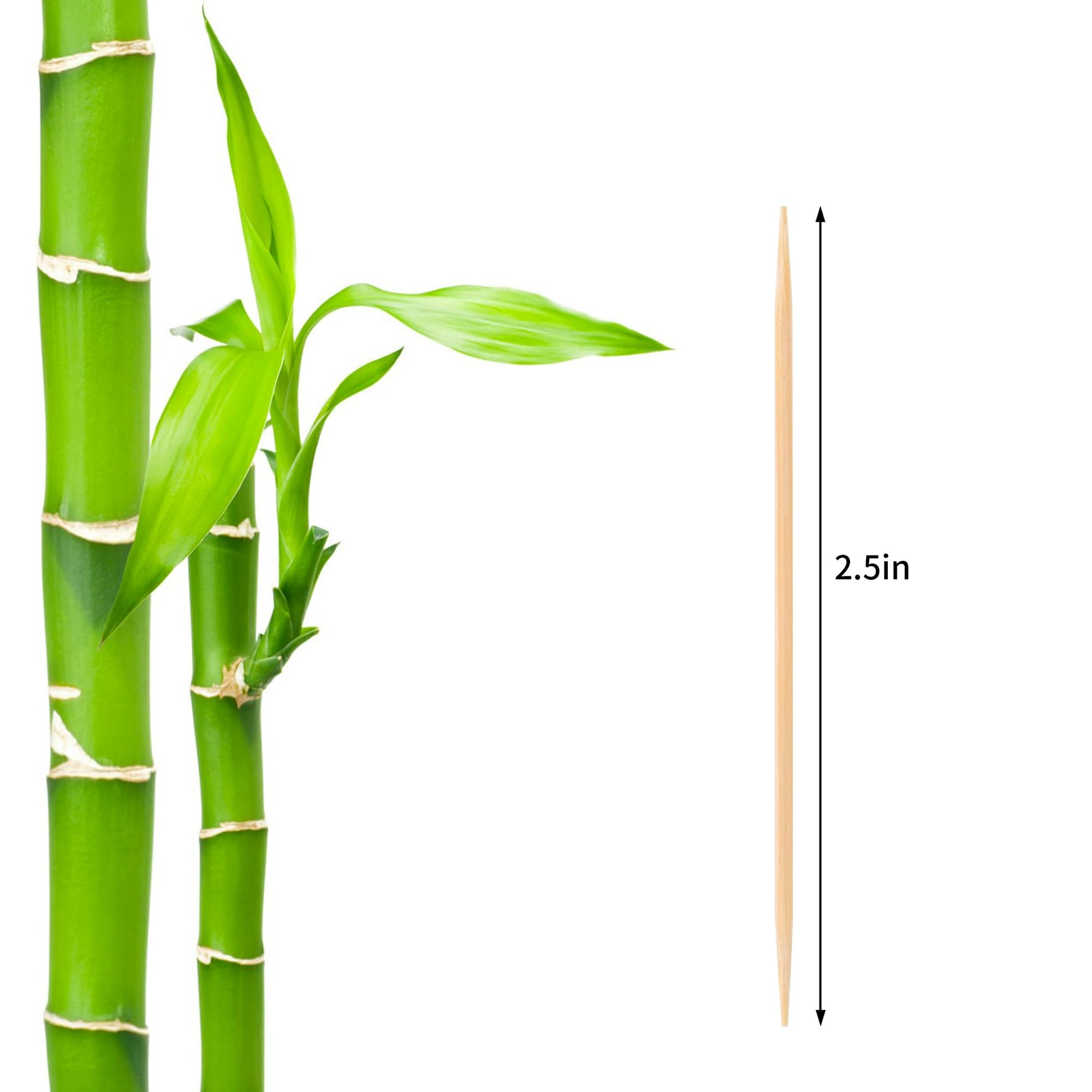 Damuzhi 1000 Count Bamboo Toothpicks Barbecue, Fruits And Teeth Cleaning - Round Double-Pointed Wooden Toothpicks, For Appetizers,Olives