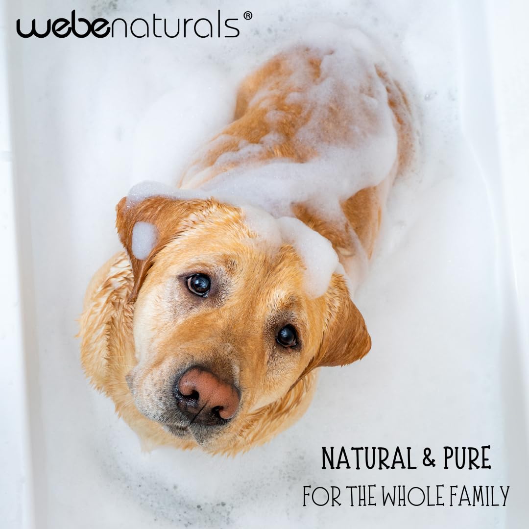 WEBE Pure Unscented Castile Liquid Soap Refill, 64 Ounce | Vegan & Gluten Free Non-GMO, For Face, Body Wash, Dishes, Pets & Laundry