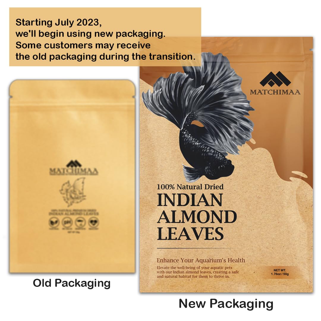 Premium Indian Almond Leave. Aquarium Decorations Size 6-9" Pack 50g(20-25 Leaves). Catappa Leaves Rich in Tannin. Superb to be Health Better, Vitality, Succesful Breeding! of Shrimp & Betta Fish Tank