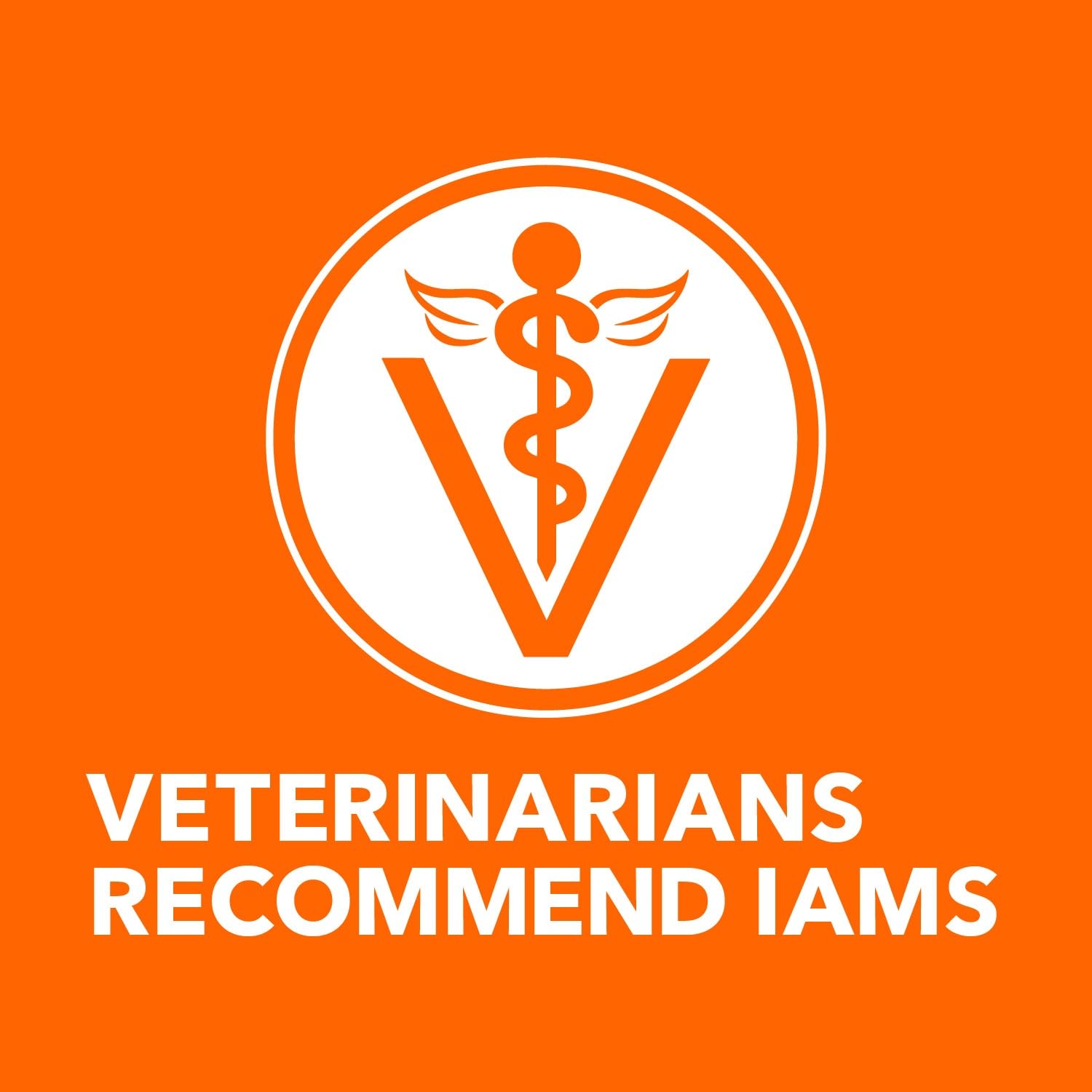 IAMS Proactive Health Trockenfutter für erwachsene Katzen, Indoor, zur Gewichtskontrolle & Haarballenpflege, Rezeptur mit Huhn & Pute, 3,18 kg Beutel