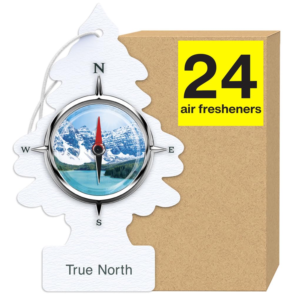 LITTLE TREES Air Fresheners Car Air Freshener. Hanging Tree Provides Long Lasting Scent for Auto or Home. Bayside Breeze, 24 Air Fresheners