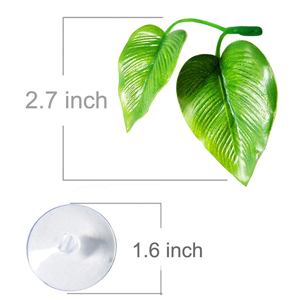 CousDUoBe 2 Pack Betta Fish Leaf Pad Improves Betta's Health by Simulating The Natural Habitat - Natural, Organic, Comfortable Rest Area for Fish Aquarium Ornaments
