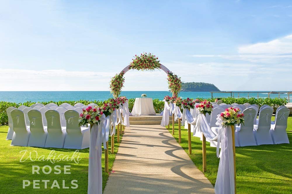 (Pre-Separated, Scented) WAKISAKI Artificial Silk Rose Petals for Wedding Flower Petals for Romantic Special Night, for Proposal, Anniversary (1,000 PCS, Dark Red)