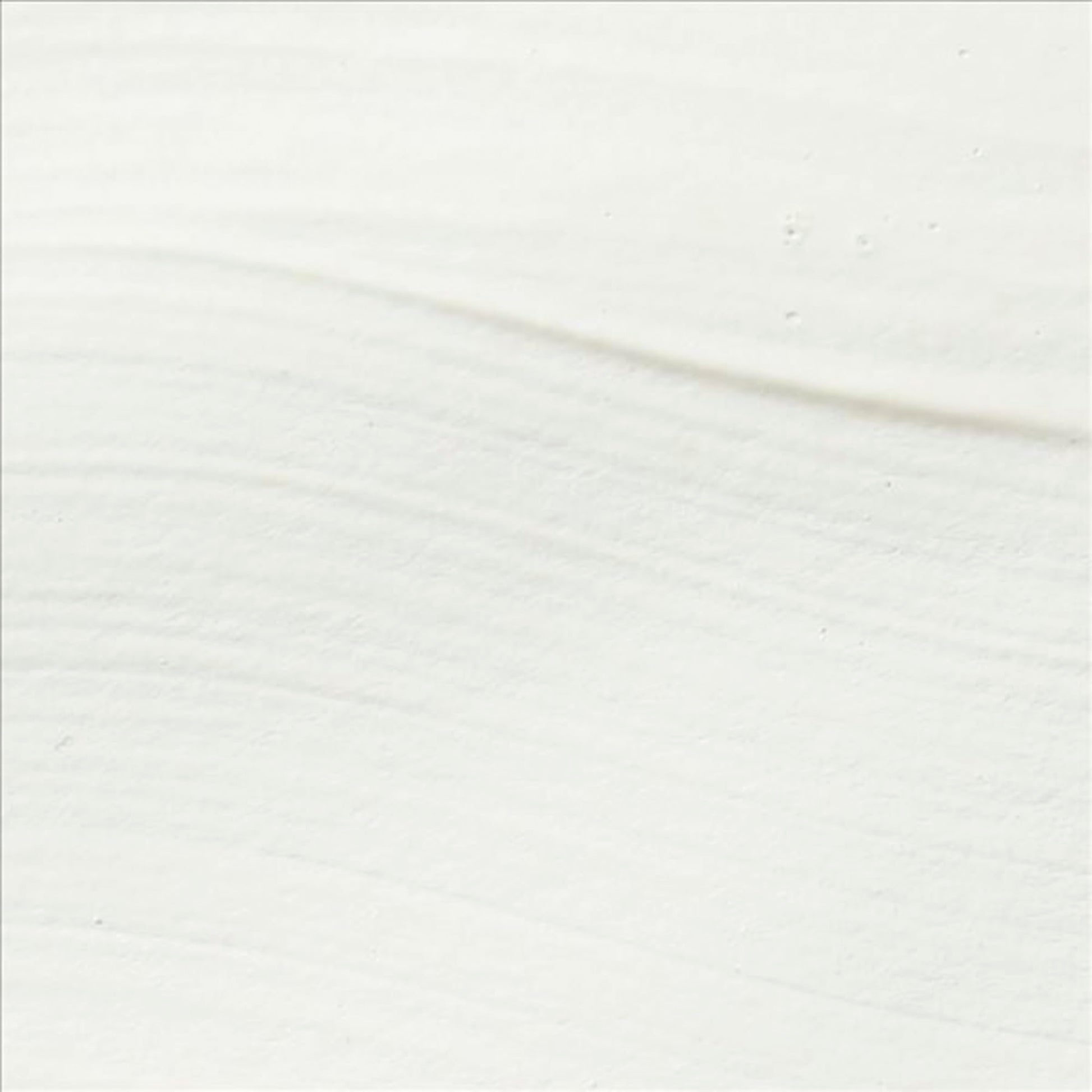 Sax True Flow Heavy Body Acrylic Paint, 1/2 Gallon, Titanium White - 439301, 64 Fl Oz (Pack of 1)
