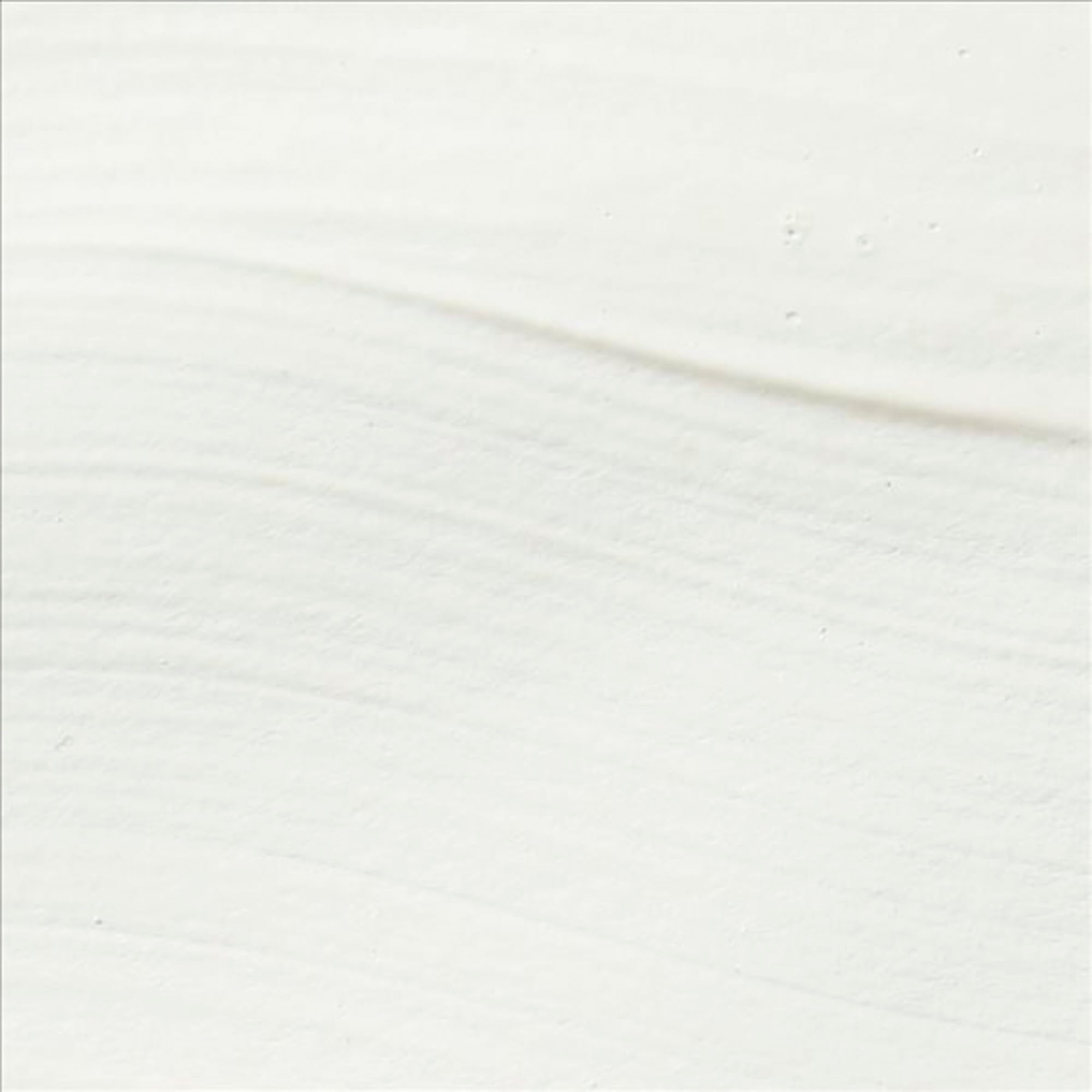 Sax True Flow Heavy Body Acrylic Paint, 1/2 Gallon, Titanium White - 439301, 64 Fl Oz (Pack of 1)