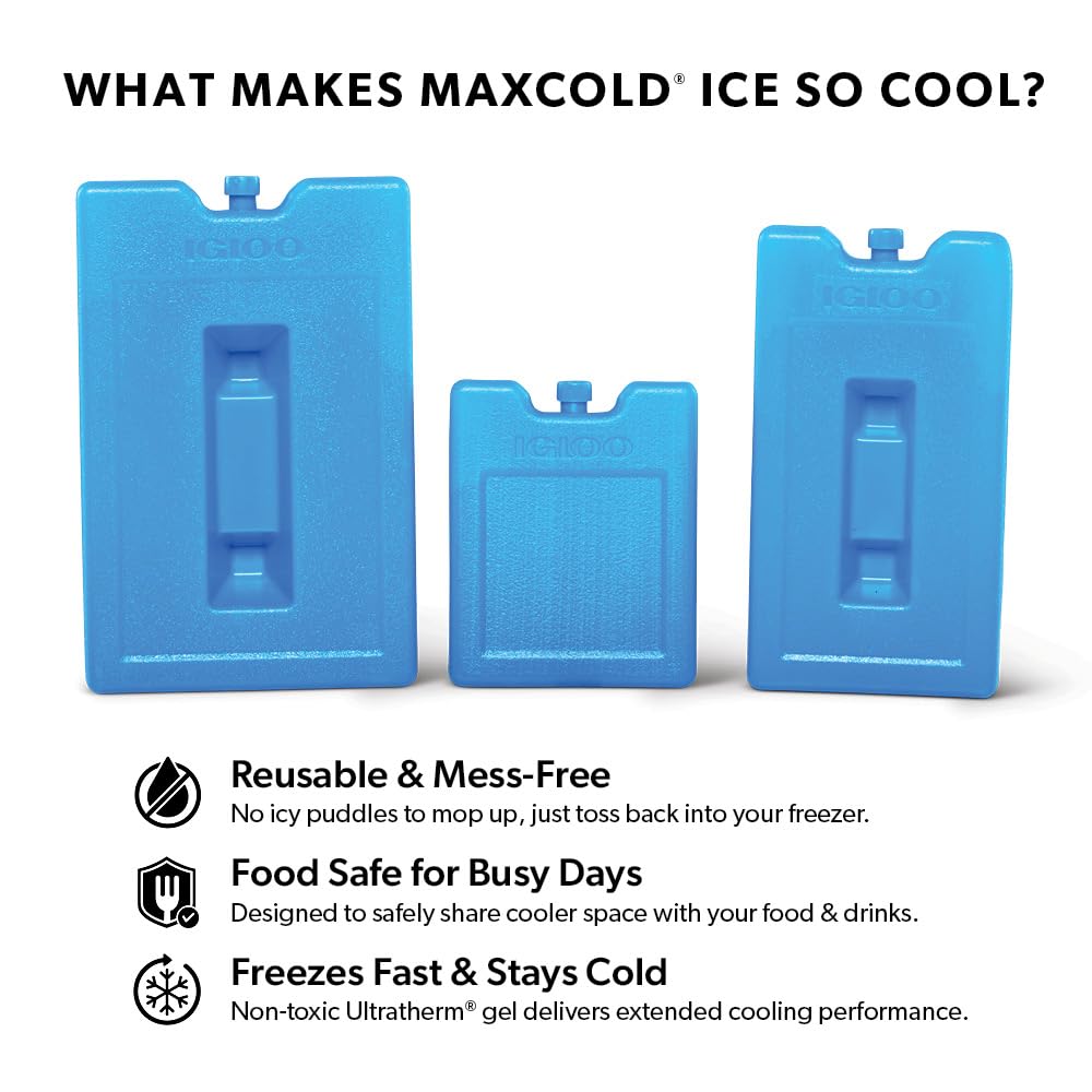 Igloo Small Maxcold 4 Pack Ice Block, Reusable Ice Packs for Coolers, Freezer Pack, Cold Packs for Coolers, Long Lasting Ice Blocks
