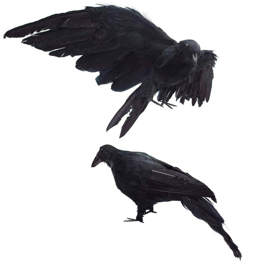 2-Pack Realistic Crows Lifesize Extra Large Handmade Black Feathered Crow for Halloween Decorations Birds, L (13 inch+12 inch)