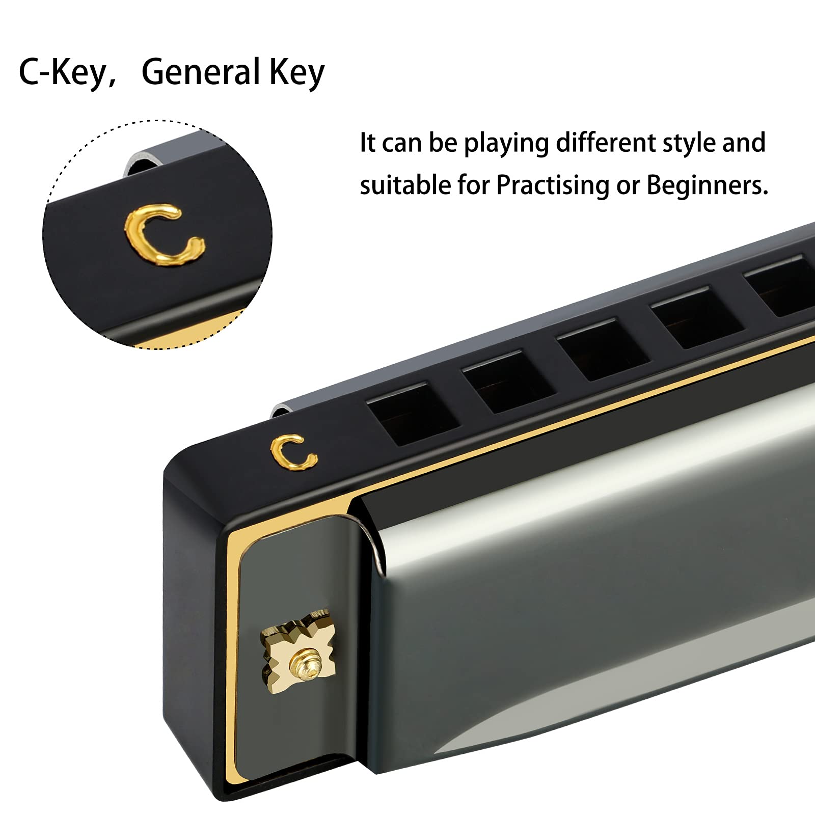 EastRock Blues Harmonica Mouth Organ 10 Hole C Key with Case, Diatonic Harmonica for Professional Player, Beginner, Students gifts, Adult, Friends, Gift Black
