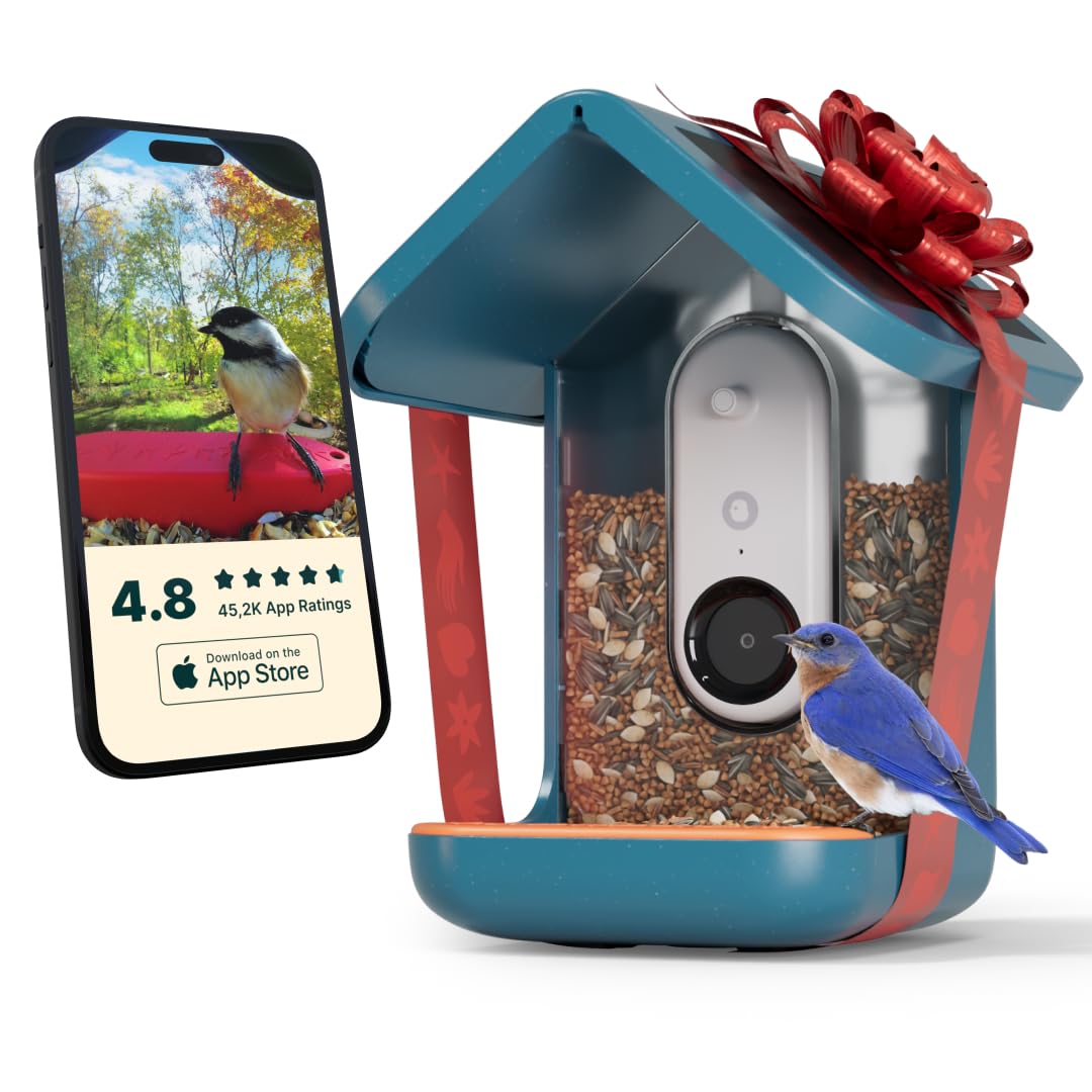 BIRD BUDDYÃÂ® Original Solar Bird Feeder with Camera - AI Bird Species Identification, 5MP Photos, 2K HD+ Video Live Stream Camera, Solar-Powered Charging, 2.8in Focus - Blue