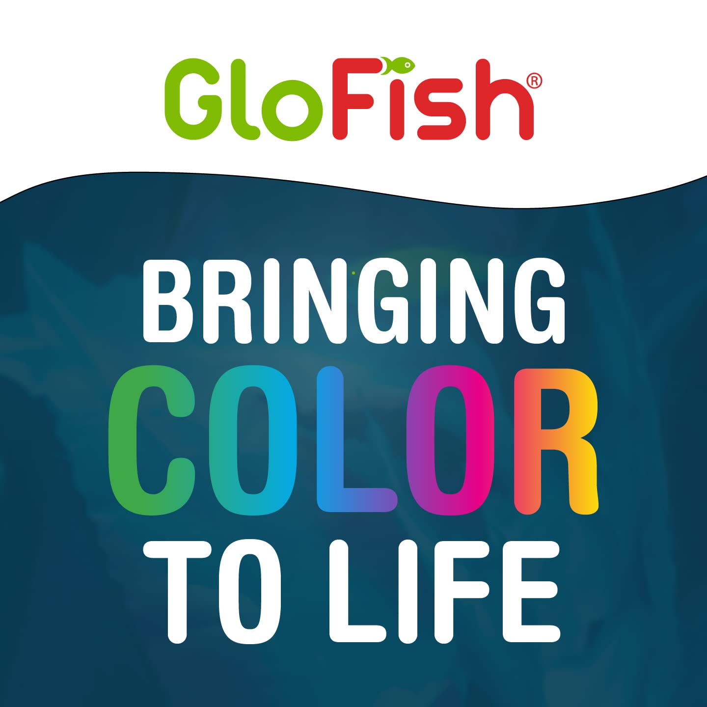 GloFish Aquarium Gravel 5 Pounds, Pearlescent, Complements Tanks and Décor (AQ-78484)