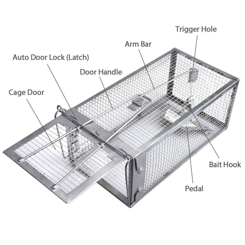 Gingbau Live Chipmunk Trap Humane Mouse Rat Cage Trap for Indoors and Outdoors