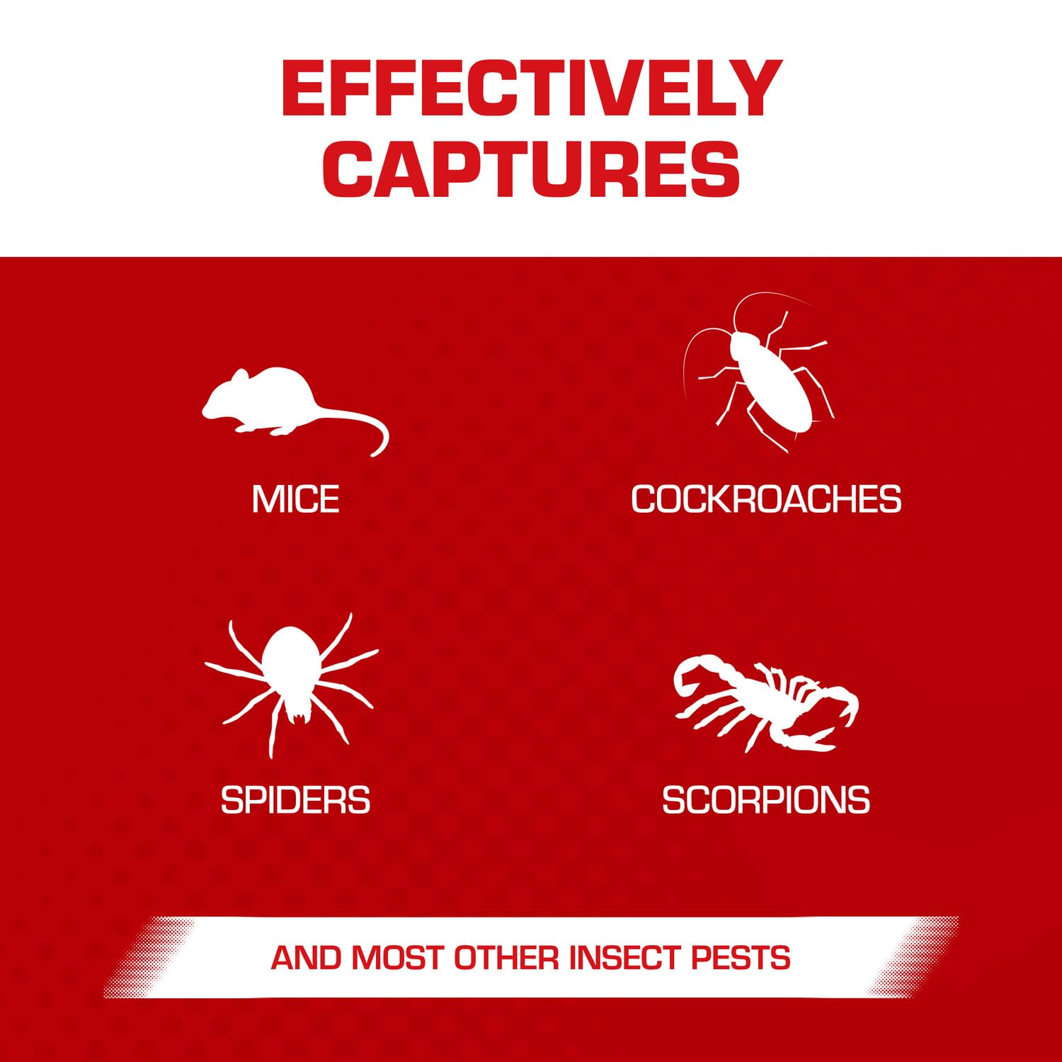 Tomcat Glue Traps Mouse Size with Eugenol for Enhanced Stickiness for Mice, Cockroaches, and Spiders, 6 Traps