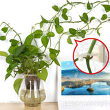 Plant Climbing Wall Fixture Clips,100Pcs Plant Fixer Self-Adhesive Hook,Garden Vegetable Plant Support Binding Clip Invisible Wall Vines,Fixture Wall Sticky Hook Fixing Clip Vines Holder (B-100 Pcs)