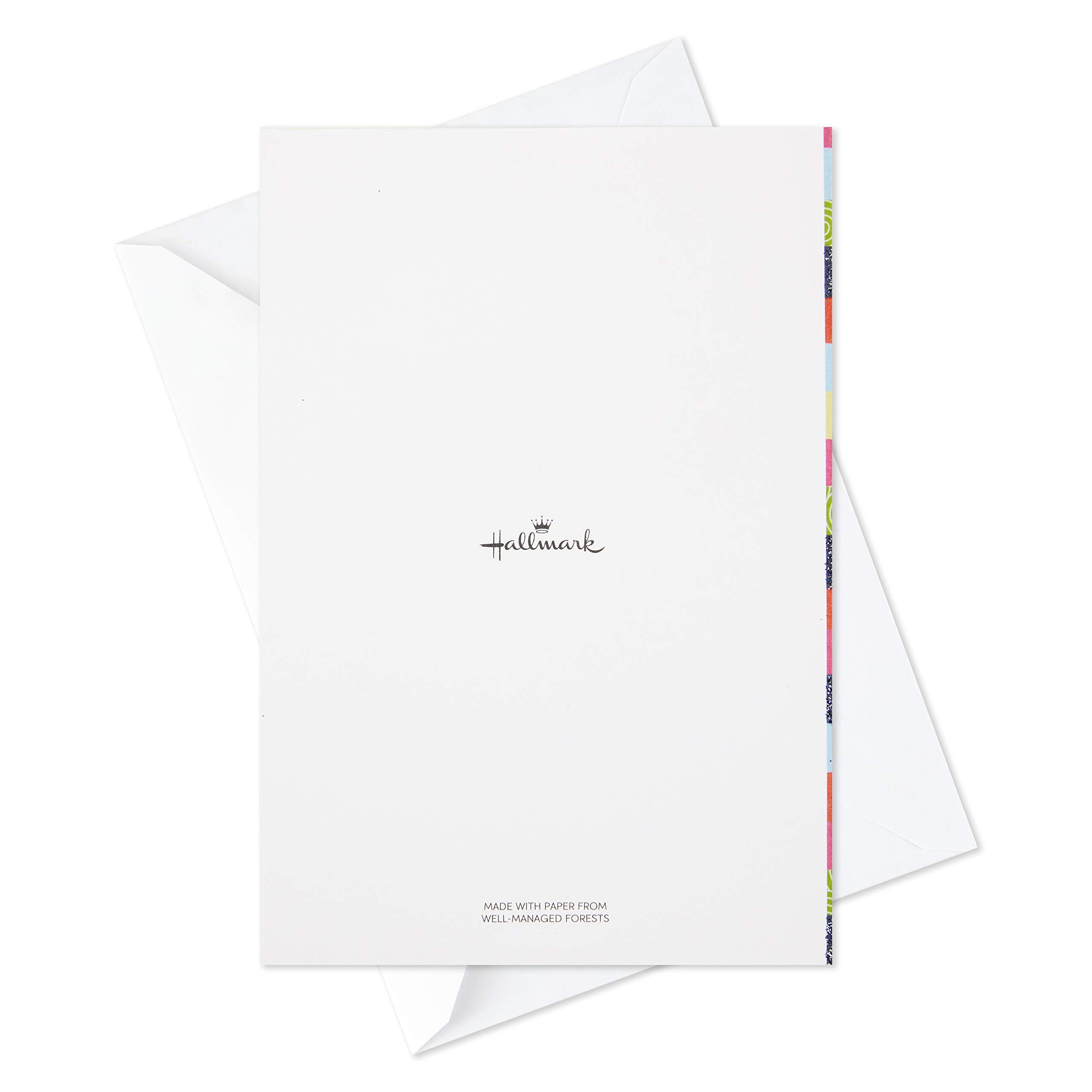 Hallmark Assorted Birthday Greeting Cards (12 Cards and Envelopes)