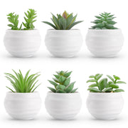 Der Rose Set of 6 Succulents Plants Artificial in Pots Small Fake Plants for Bedroom Aesthetic Living Room Shelf Bathroom Decor Office Desk Accessories