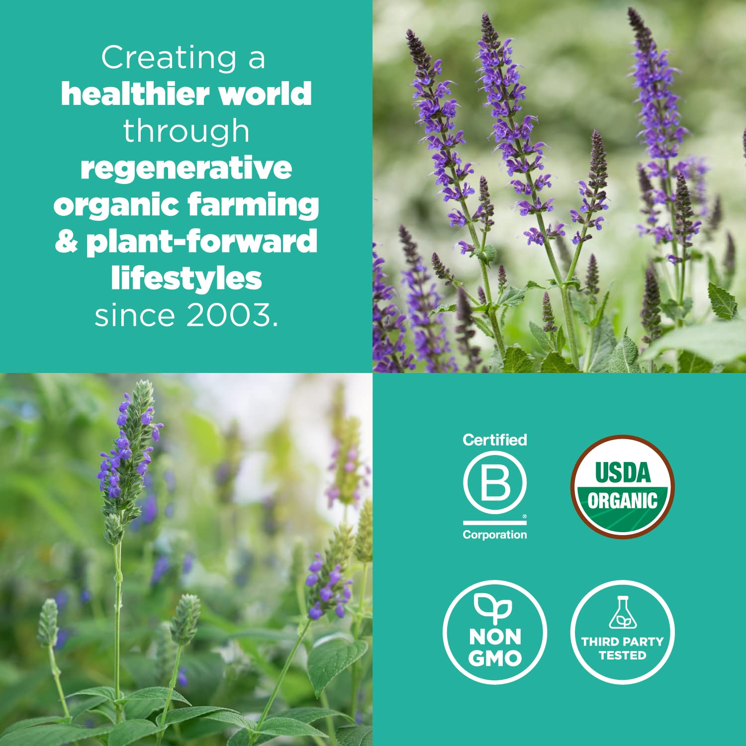 Navitas Organics Chia Seeds – For Chia Pudding, Smoothies, Baking, Salads & More – Omega 3, Fiber, Minerals - USDA Organic, Non GMO, Kosher, Gluten Free, Keto (8oz. Bag, 8 Servings)