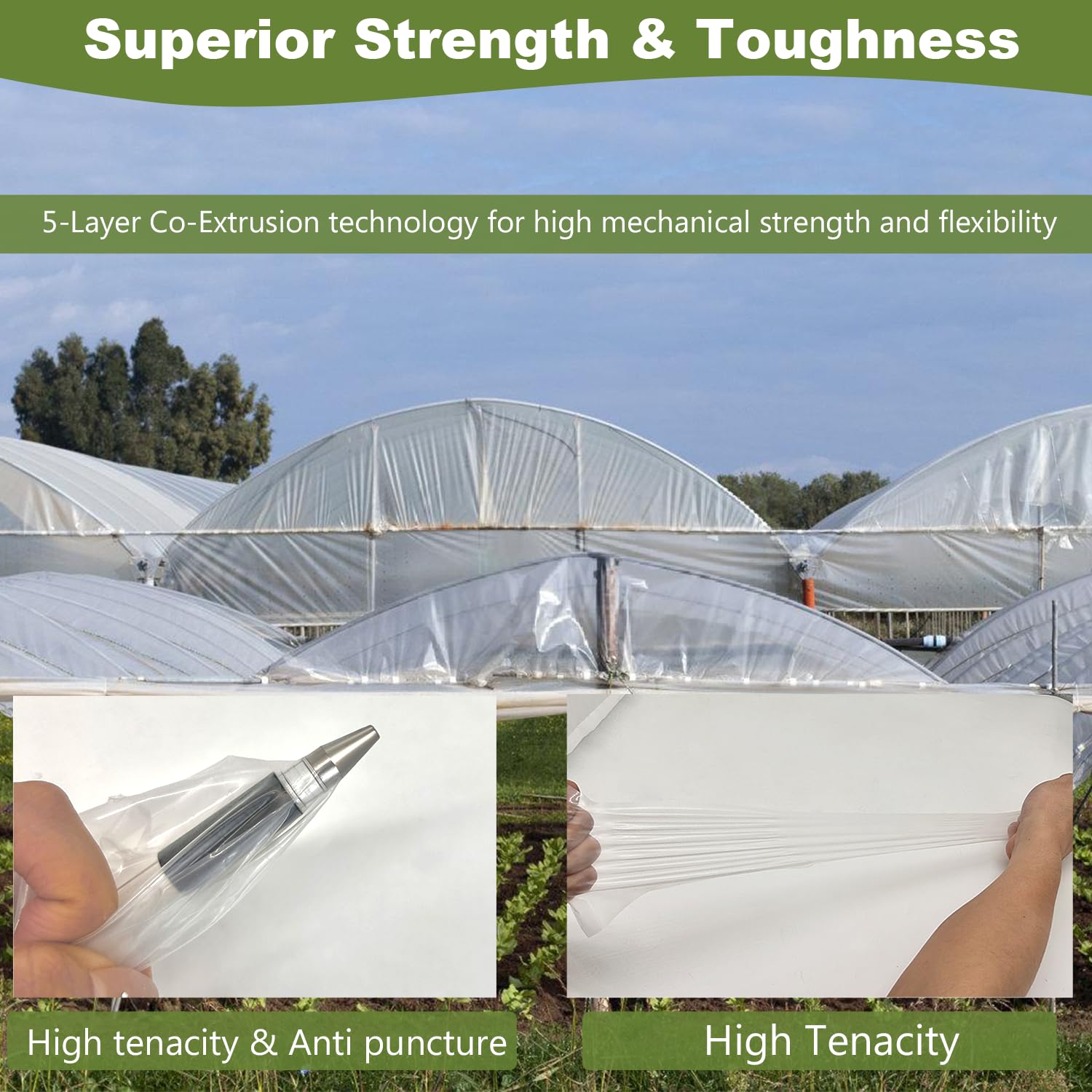 chicarry Greenhouse Plastic Sheeting, 12 x 25ft 6 mil Clear Greenhouse Film, UV Resistant Plastic Sheeting Heavy Duty, Polyethylene Green House Plastic Cover for Farms, Garden, Agriculture