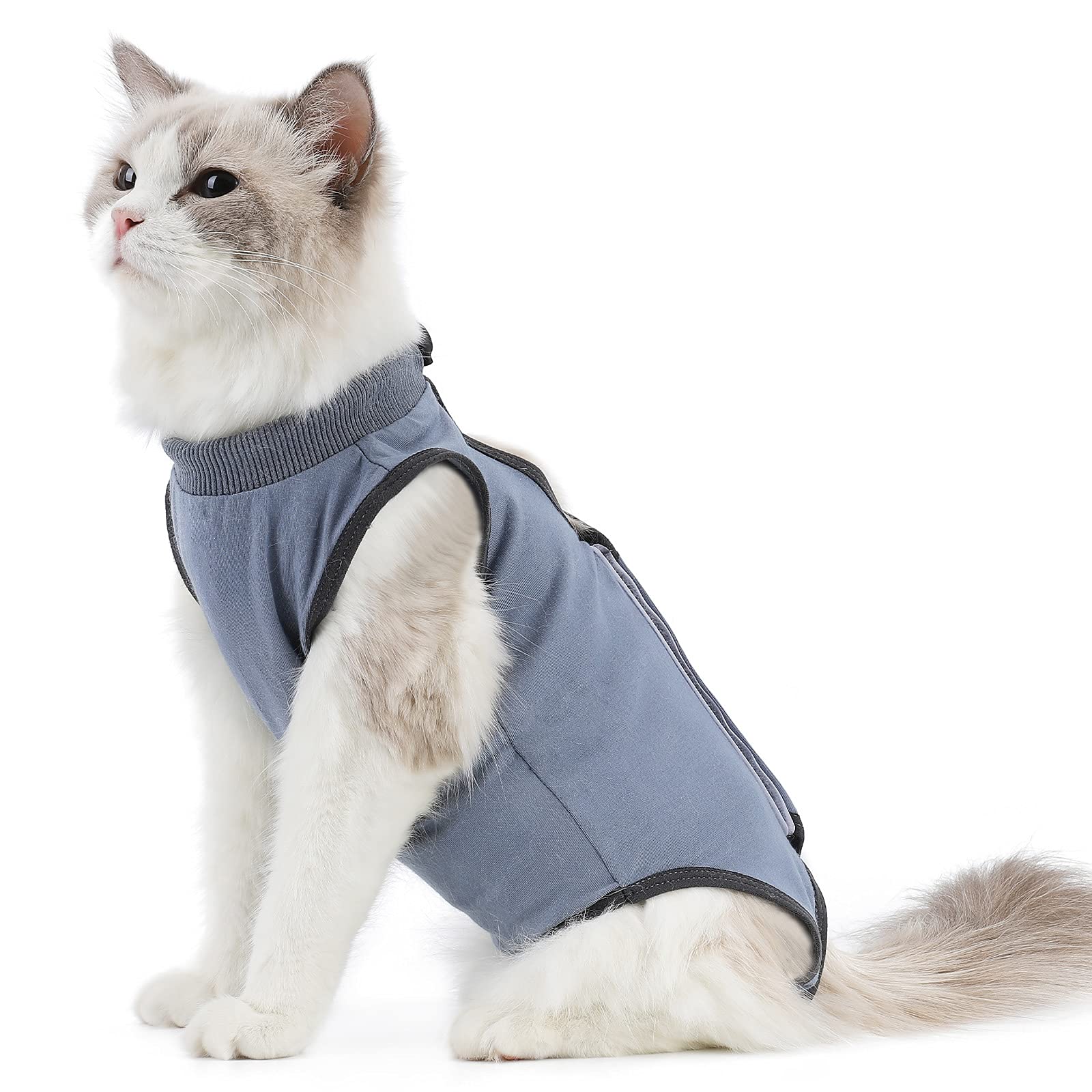 kzrfojy Cat Surgery Recovery Suit Cat Onesie for Cats After Surgery Spay Surgical Abdominal Wound Skin Diseases E-Collar Alternative Wear (Pruple-M)