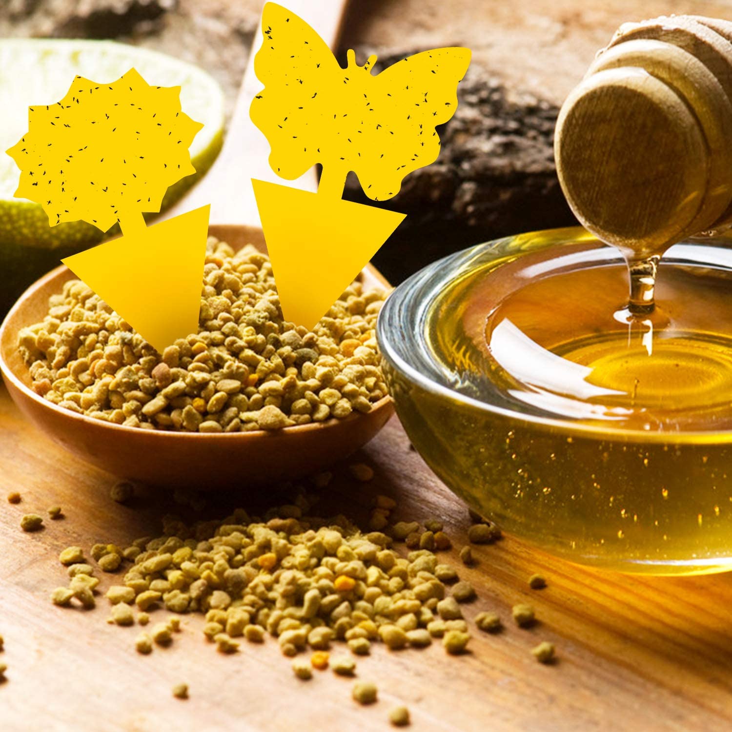 Fruit Fly Traps Fungus Gnat Traps Yellow Sticky Bug Traps 36 Pack No Harm and Odorless for Indoor Outdoor Use Protect The Plant