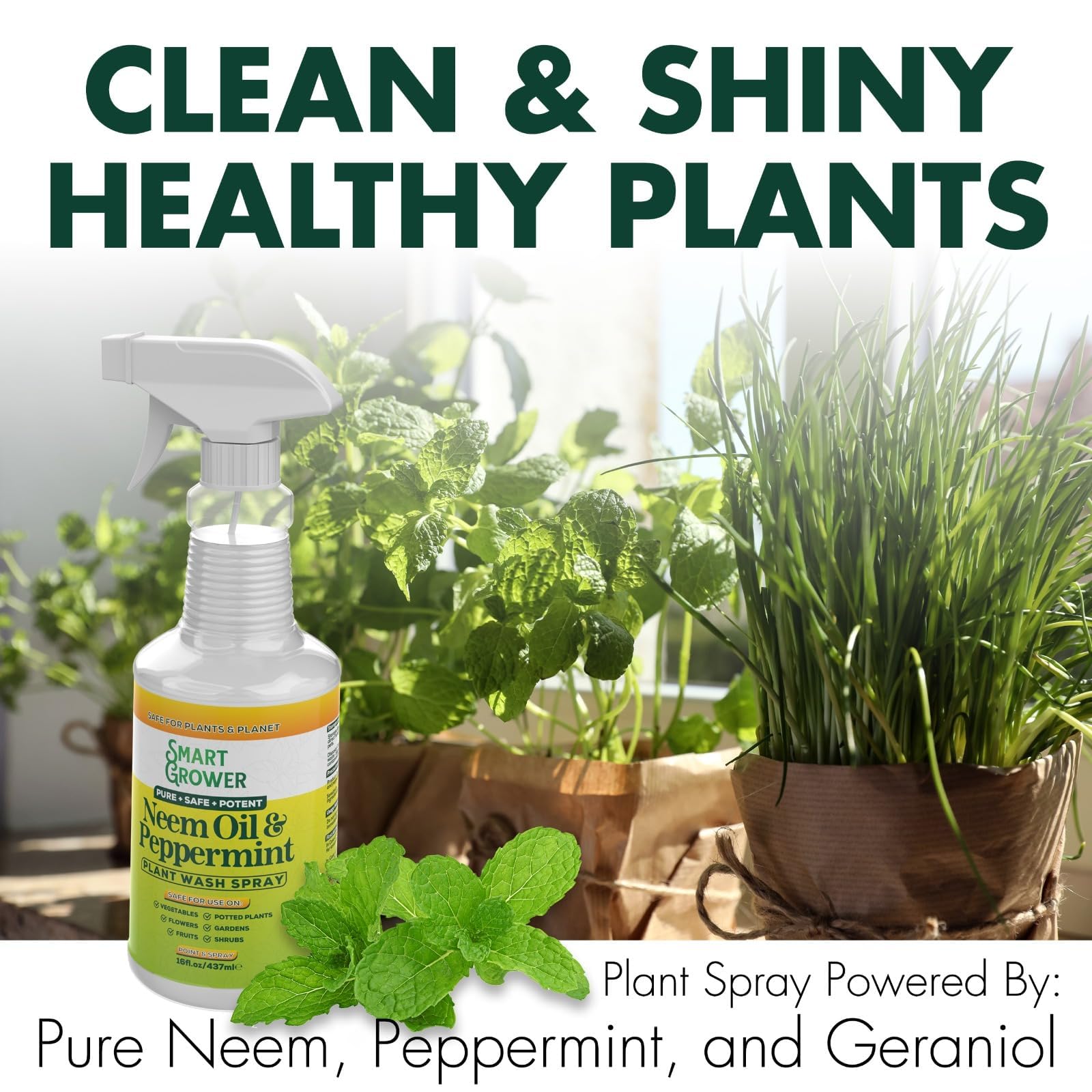 Neem Oil Spray for Plants with Peppermint Oil, Natural Plant Wash Made for Indoor and Outdoor Plants Smart Grower 16oz Easy Ready to Use Spray