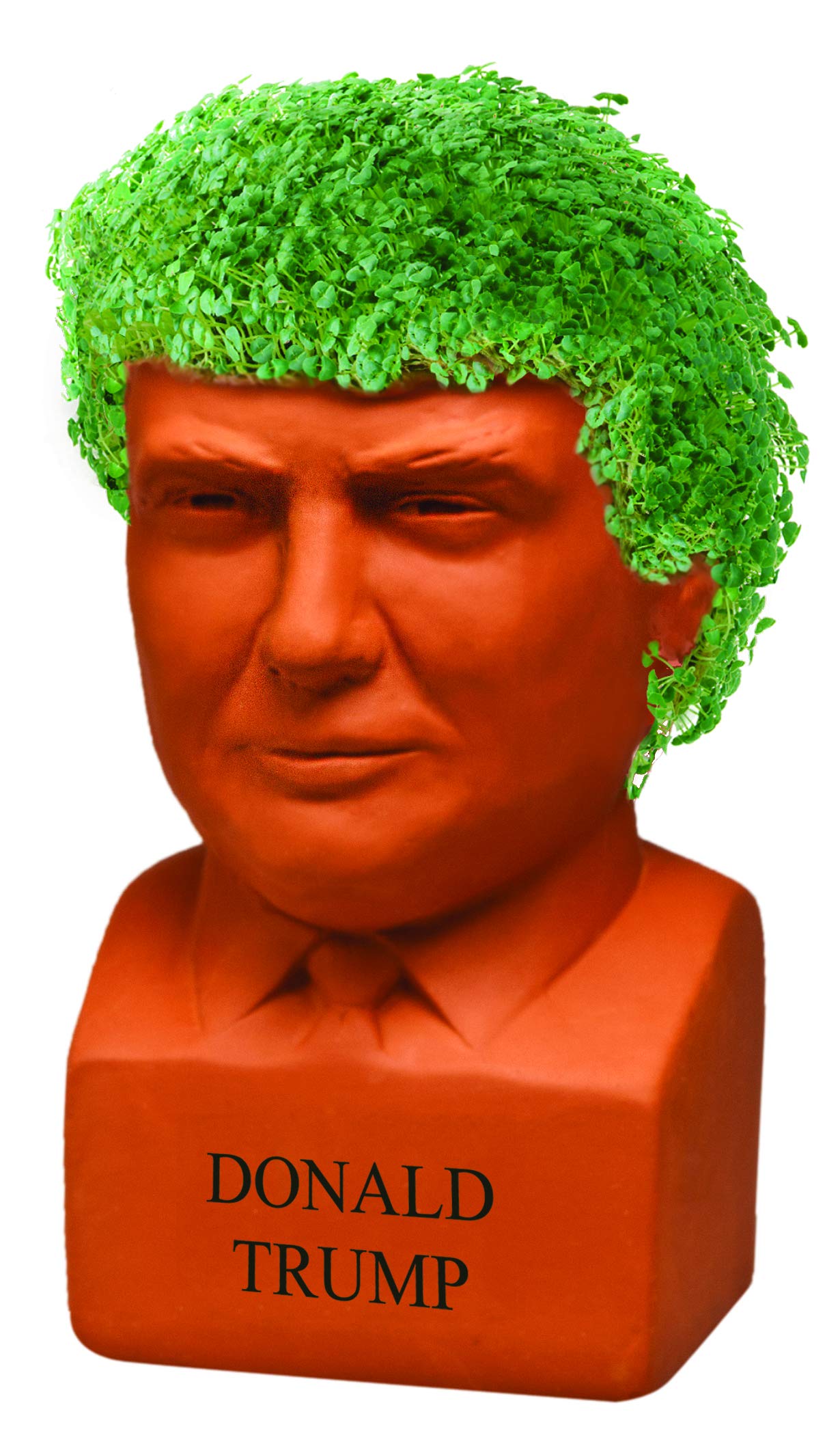 Chia Pet Donald Trump with Chia Seed Pack - Freedom of Choice - Decorative Presidential Pottery Planter, Easy to Do and Fun to Grow, Novelty Gift, Terra Cotta