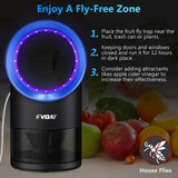 FVOAI Fruit Fly Trap for Indoors, Fly Traps Indoor for Home Gnat Traps House Indoor, Bugs Trap with Time Setting, 10 Sticky Glue Boards Black