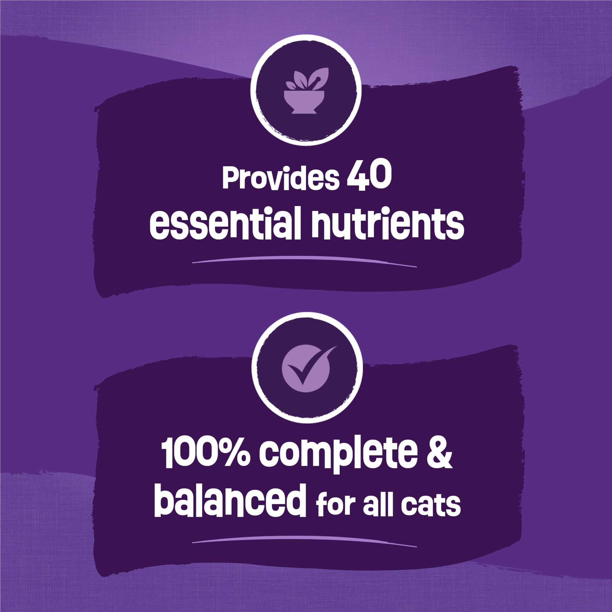 Purina Friskies Cat Food Surfin and Turfin Favorites Flavors of Chicken, Whitefish, Salmon and Filet Mignon - (Pack of 4) 3.15 lb. Bags