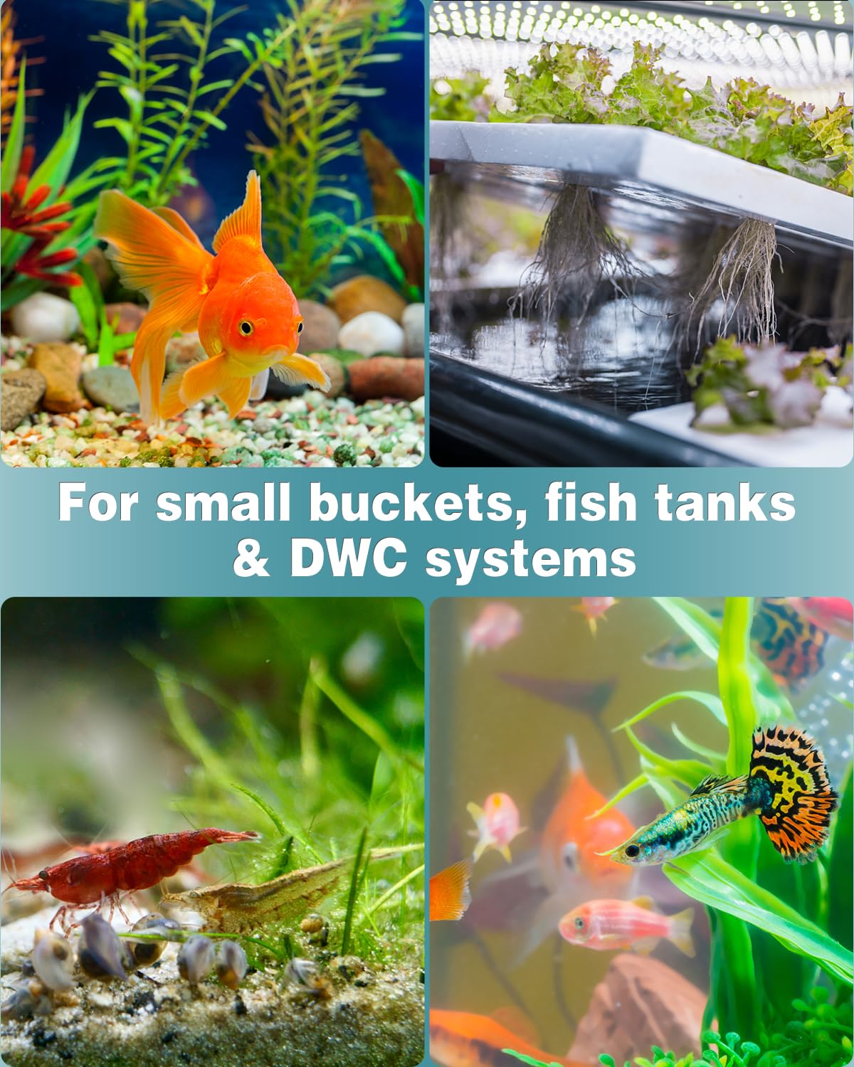 Pawfly Aquarium Air Stone 1 Inch, Fish Tank Air Stone Aerator Bubble Diffuser for Nano Air Pumps Small Buckets and Fish Tanks, 10 Pack