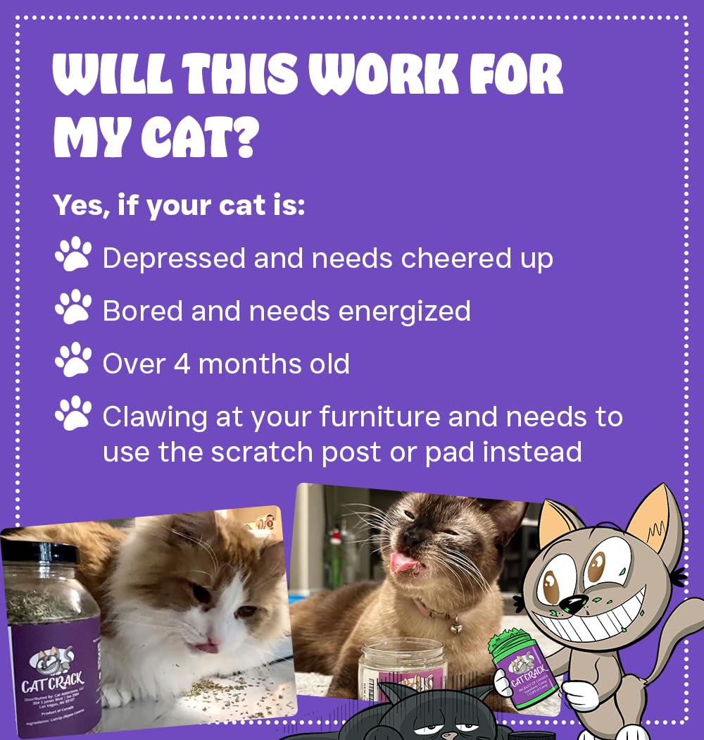 Cat Crack Catnip, Zoomie-Inducing Cat Nip Blend, North American Made & 100% Natural, Safe & Non-Addictive Catnip Treats Used to Supplement Cat Nip Toys, Spray, & Accessories (1 Cup)