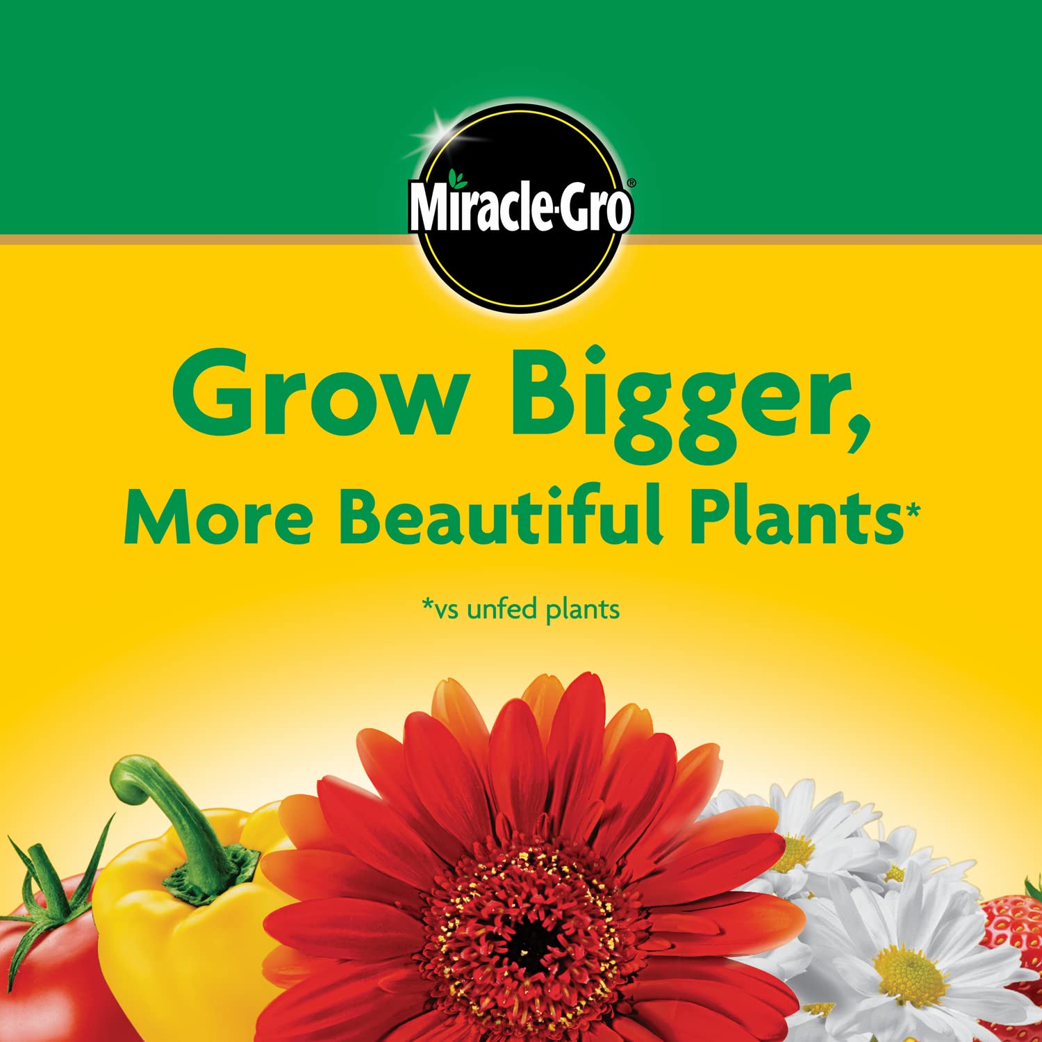 Miracle-Gro Water Soluble All Purpose Plant Food, Fertilizer for Indoor or Outdoor Flowers, Vegetables or Trees, 3 lbs.