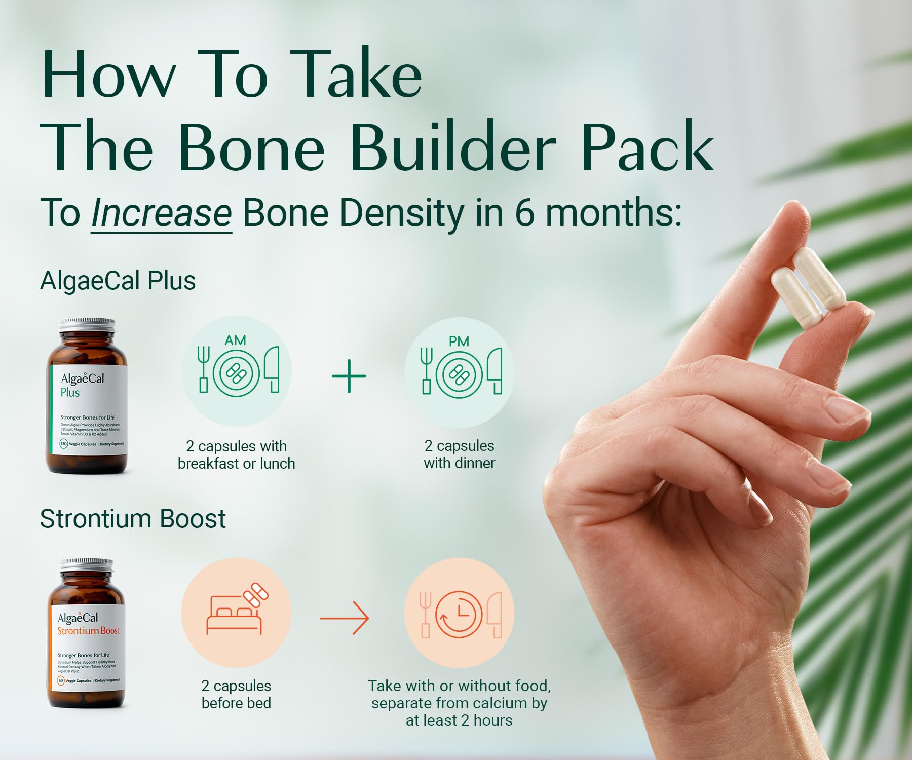 AlgaeCal - Bone Builder Pack for Bone Density Increase, Clinically Supported Plant Based Calcium Supplement & Strontium, Vitamins K2 (100mg), D3 (1600 IU), Magnesium & 16 Essential nutrients