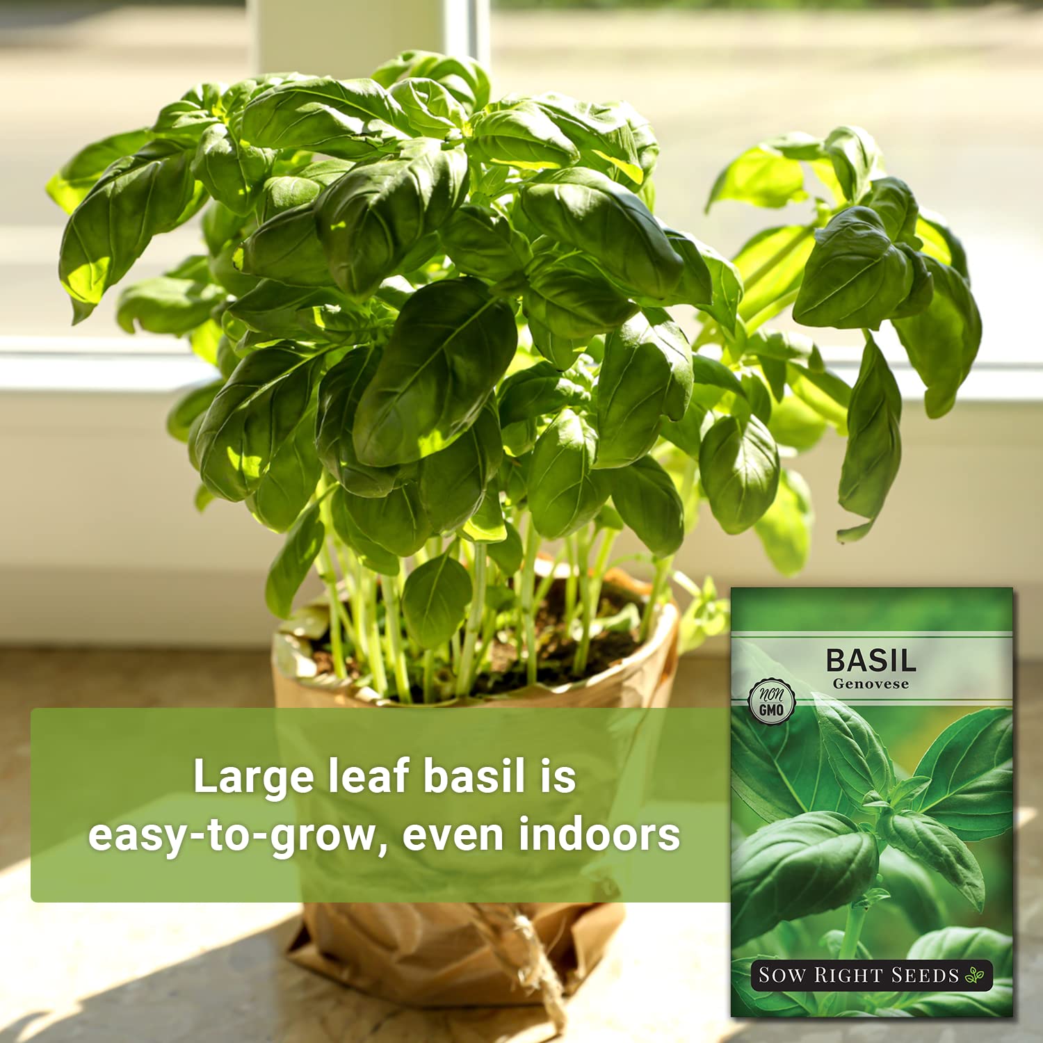 Sow Right Seeds - Genovese Sweet Basil Seed for Planting - Non-GMO Heirloom Packet with Instructions to Plant and Grow a Kitchen Herb Garden - Indoors or Outdoor - Great for Hydroponic Gardening (1)