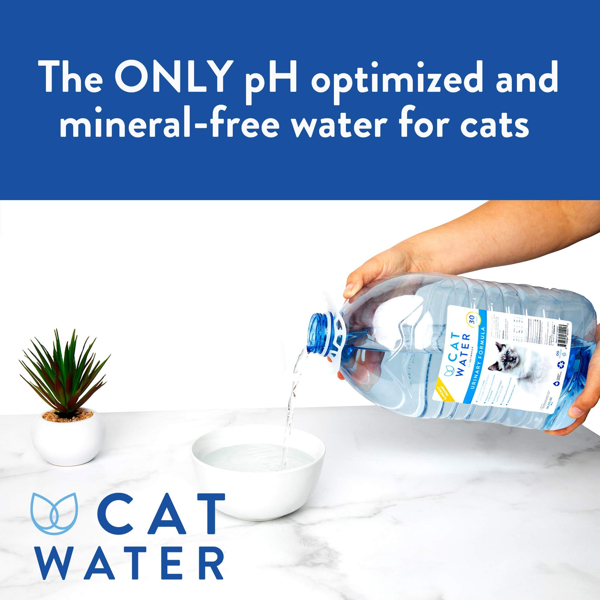 CATWATER by VETWATER | ph-Balanced and Mineral-Free Cat Water | Clinically Proven Urinary Formula | Helps Prevent Cat Urinary Issues, FLUTD | 135.2 oz, 2-Pk, Clear (CW60101-2)