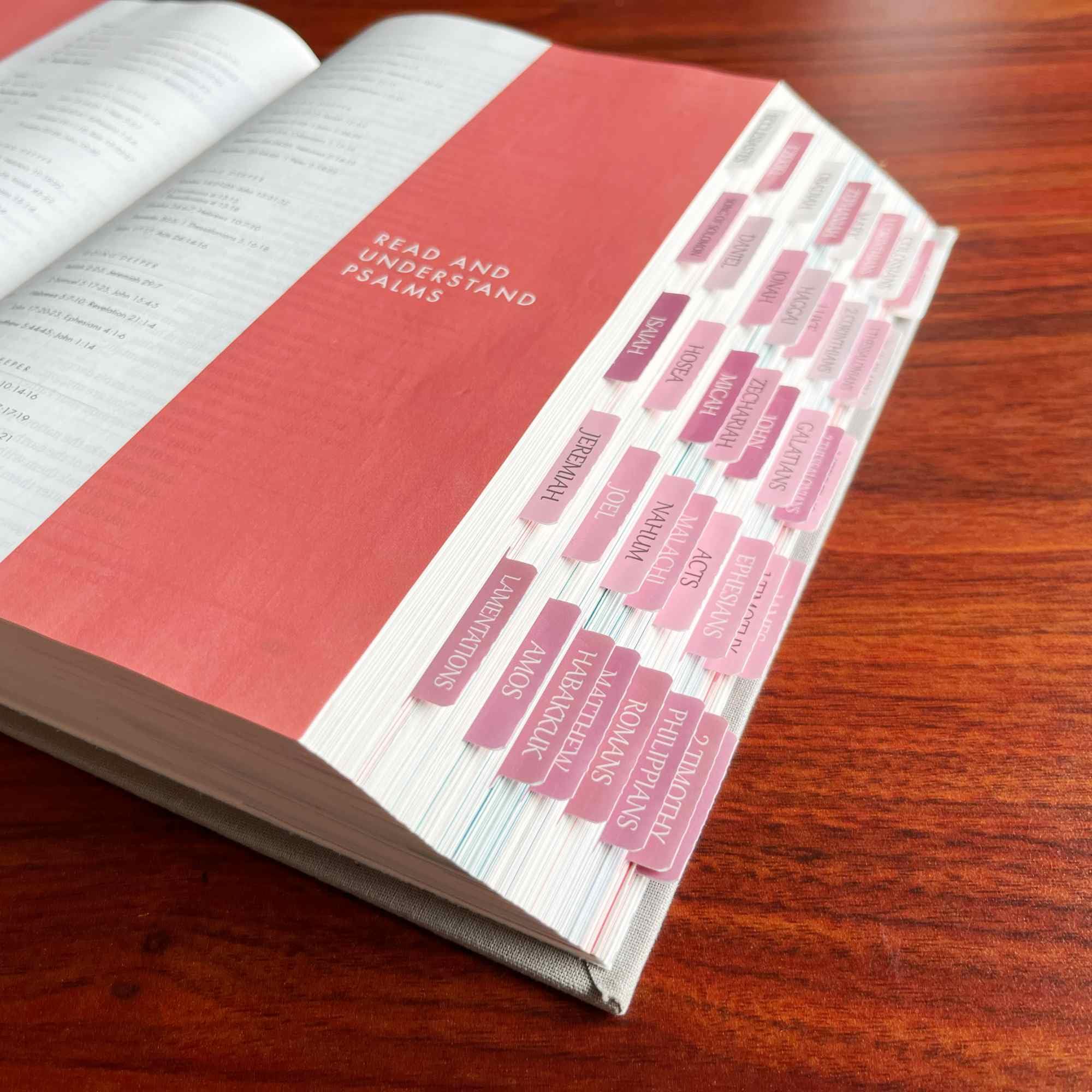Laminated Bible Tabs, Reposition Large Print Stickers, Easy to Read and Apply Bible Tabs for Women and Man (White Pink)