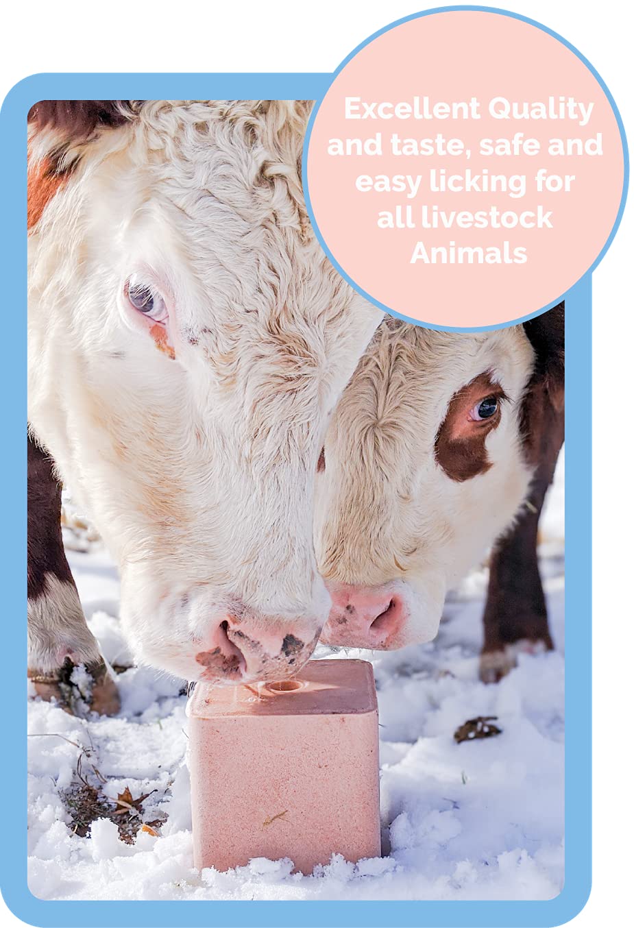 Himalayan Secrets® 11LB (5KG) Compressed Pink Himalayan Salt Lick | for Livestock and Wildlife Animals | 100% Pure & Natural Feed Salt Block | Natural Minerals and Trace Elements