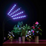 Grow Light with Stand, FRENAN Grow Lights for Indoor Plants with Red Blue Spectrum, 10 Dimmable Brightness, 4/8/12H Timer, 3 Switch Modes, Adjustable Gooseneck, Suitable for Various Plants Growth