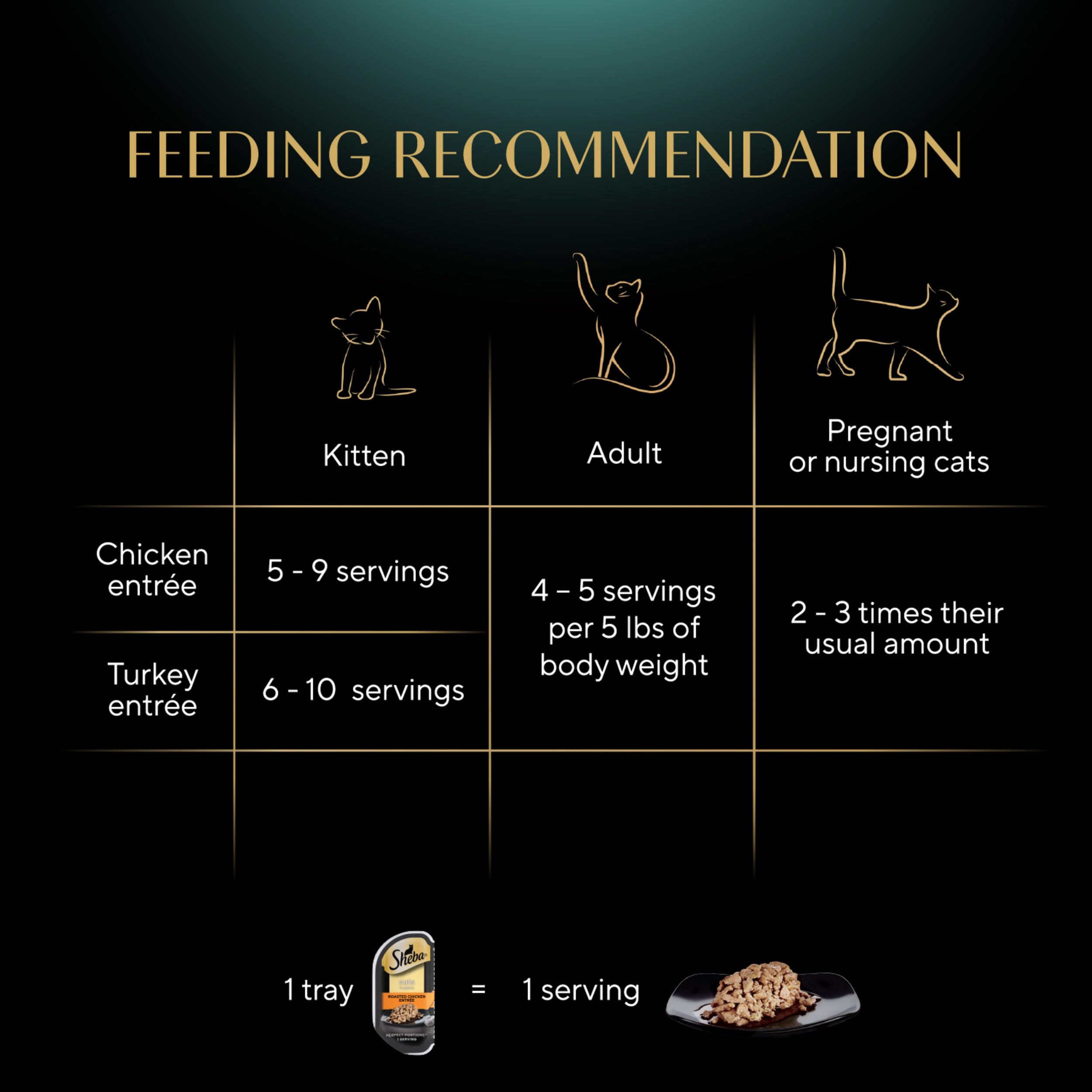 Sheba Perfect Portions Wet Cat Food Cuts in Gravy Variety Pack, Roasted Chicken Entree and Tender Turkey Entree, 2.6 oz. Twin-Pack Trays (12 Count, 24 Servings)