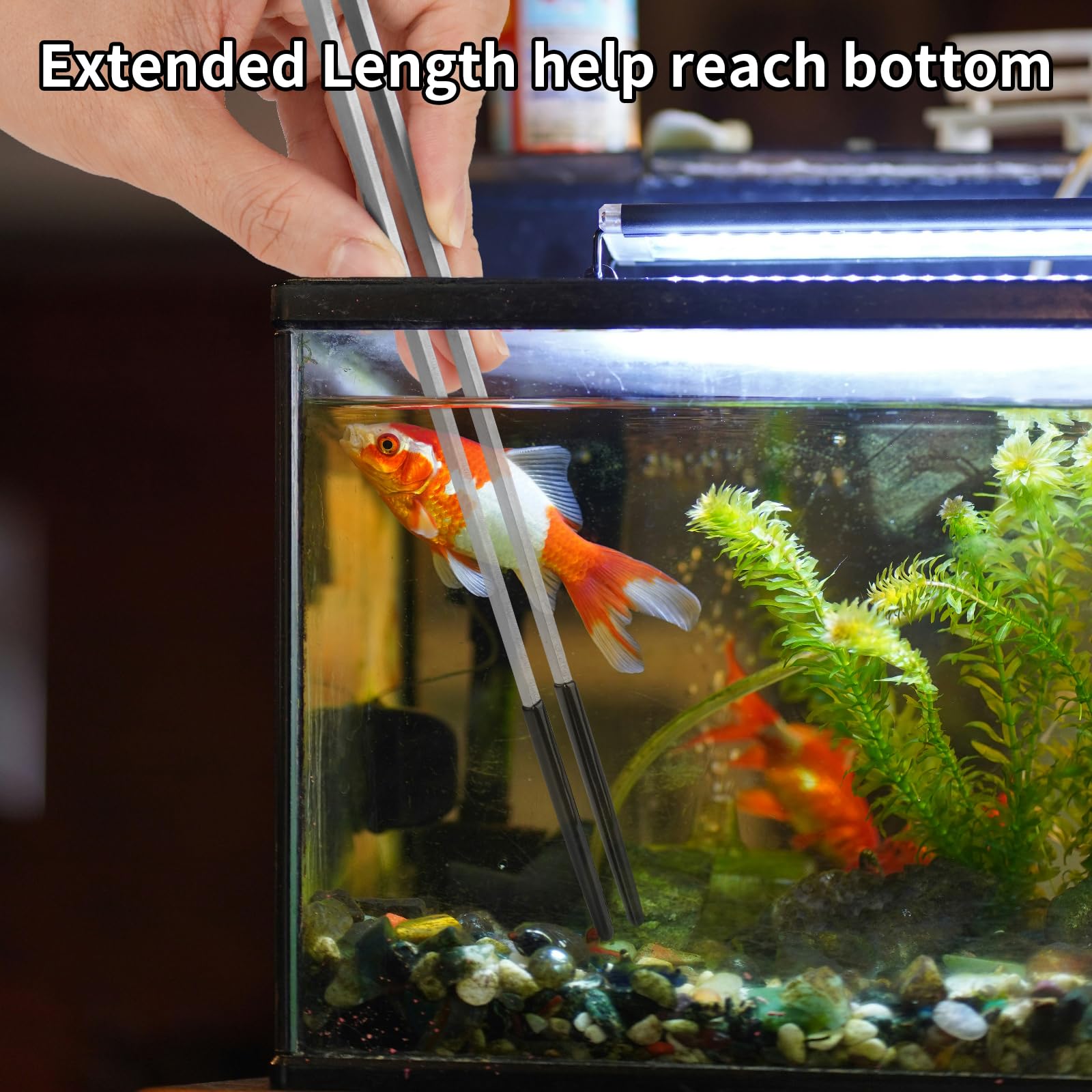 Novery 2PCS Stainless Steel Reptile Feeding Tongs with Rubber Tip, 10.6” Straight & Curved Long Tweezers for Aquarium or Craft, Bearded Dragon Tank Snakes Enclosure Accessories, Terrarium Supplies