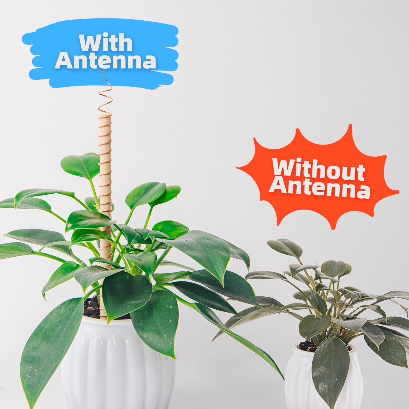 Art3d 18 Gauge 60 FT 99.9% Pure Soft Copper Wire for Electroculture Gardening, Jewelry Making, Beading, Science Projects, DIY Artwork, 1 Roll