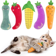 ETEKYER Catnip Cat Toys, Interactive Indoor Cat Nip Toy Kitty Kicker, Durable Kitten Teething Chew Toy, 5 Pack, Vegetable Shape