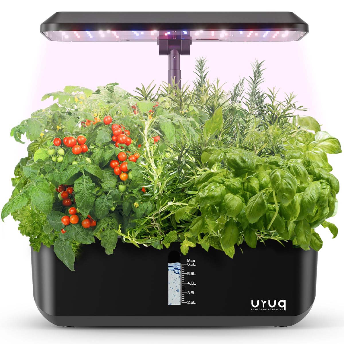 Hydroponics Growing System Indoor Garden: URUQ 12 Pods Indoor Gardening System with LED Grow Light Height Adjustable Plants Germination Kit Quiet Smart Pump - Hydroponic Planter Fresh Harvest Black