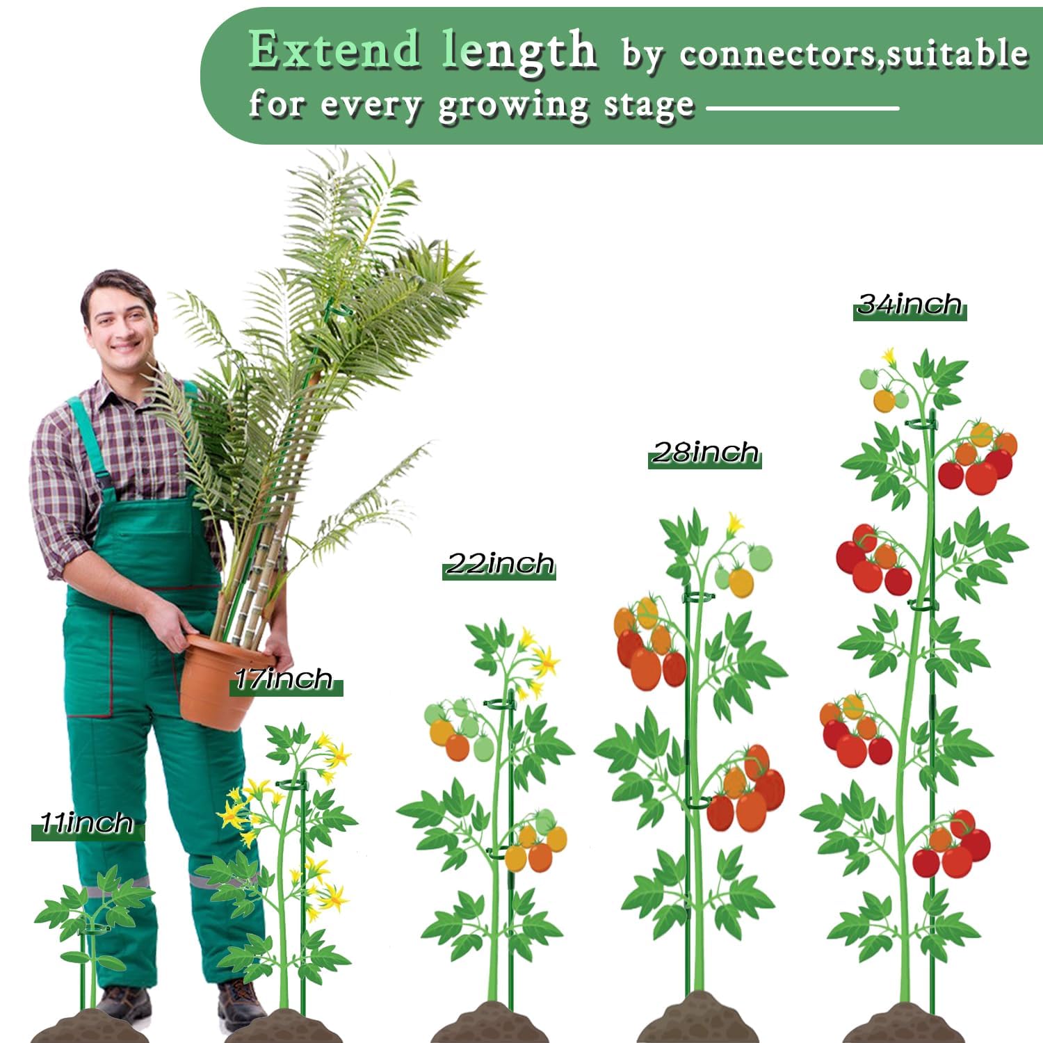 Plant Stakes 17inch &11inch SupKing Adjustable Length Plant Support Stake 16Pcs Green Orchid Stick with Clips for Indoor Outdoor,Garden Pole for Potted Tomato Amaryllis Vegetables Comes with 20 Ties
