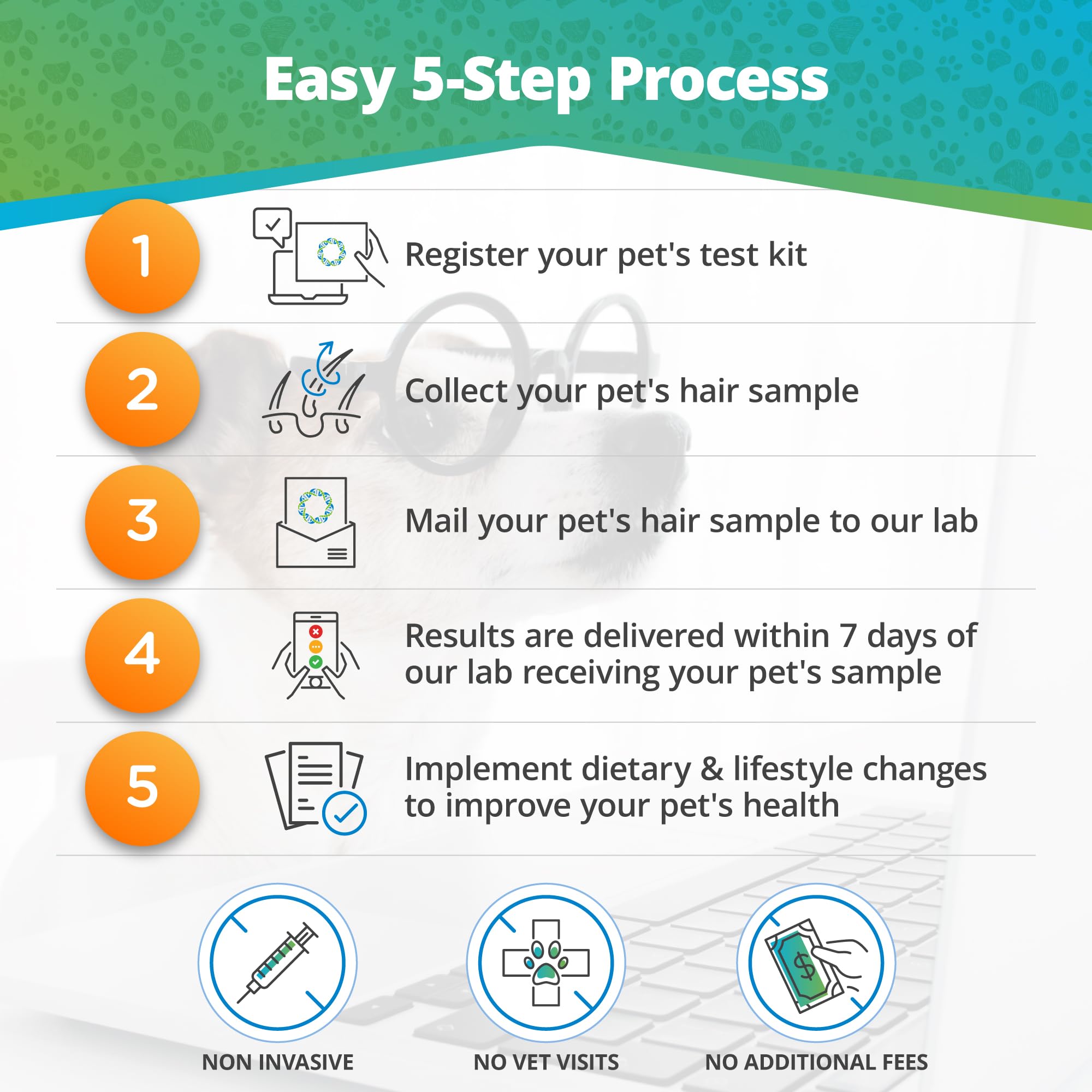 5Strands Pet Food Intolerance Test, at Home Sensitivity Test for Dogs & Cats, 289 Items, Hair Analysis, Accurate for All Ages and Breed, Results in 5 Days - Protein, Grain, Preservatives